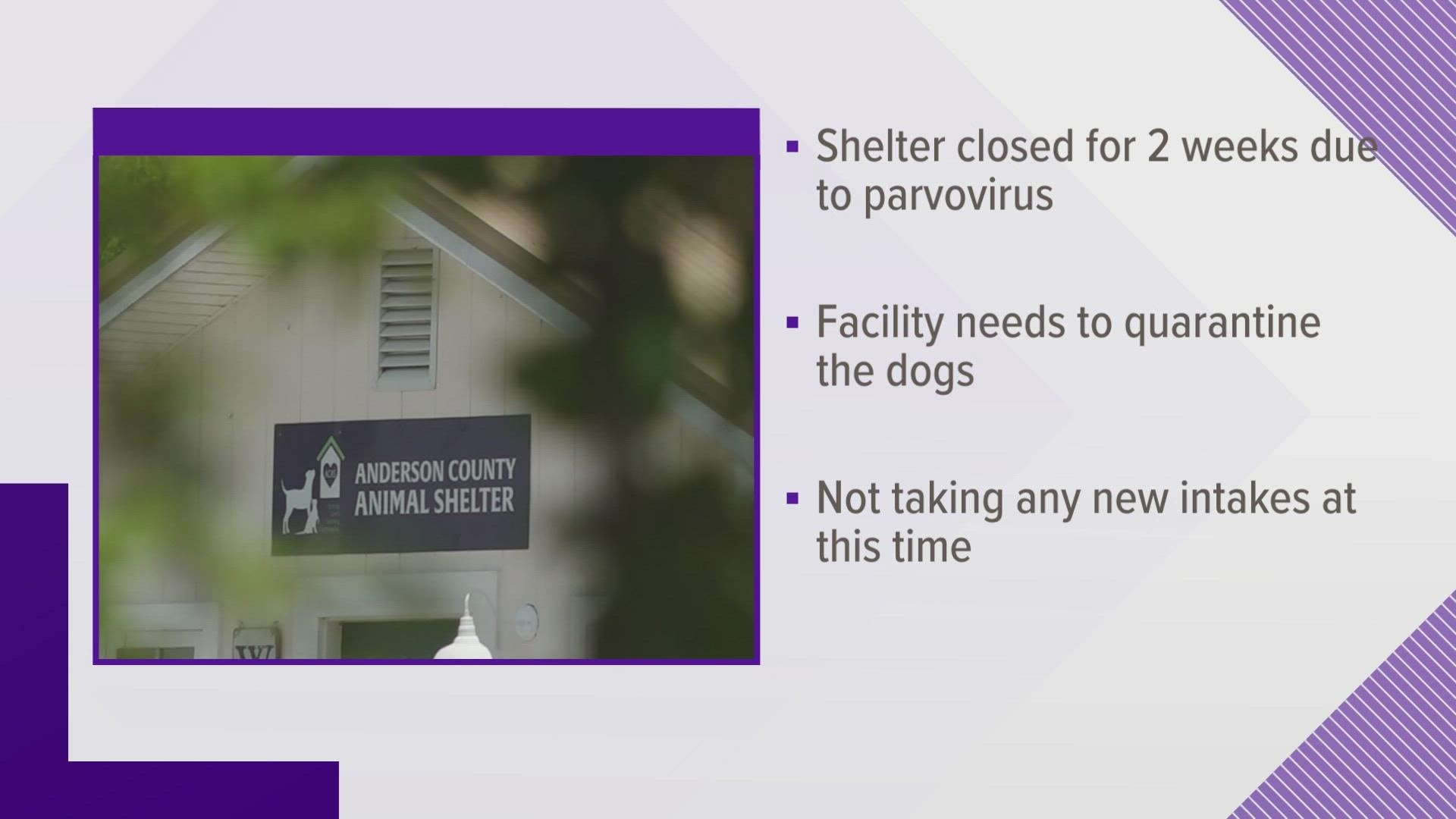 The animal shelter said they are too small for a quarantine area and they will monitor the health of their animal population.