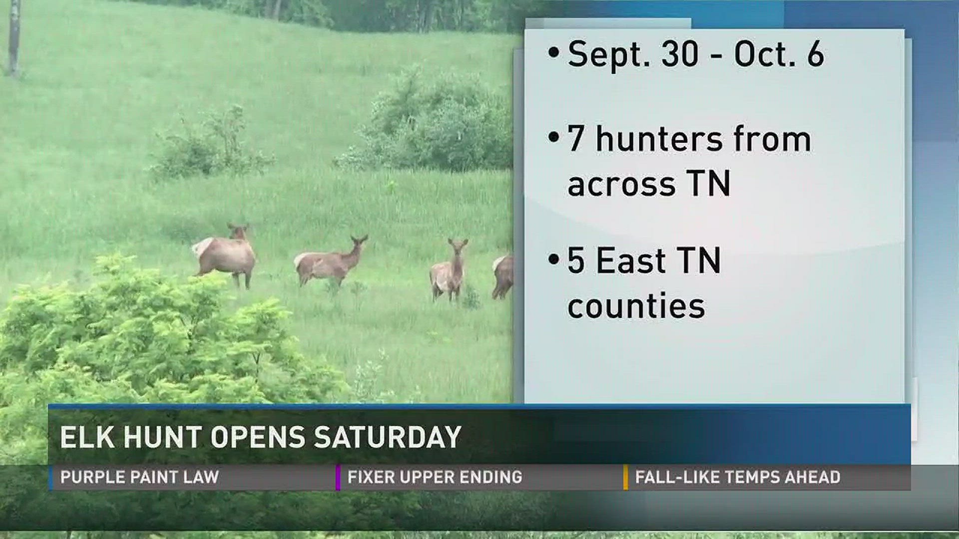 TWRA officials have been managing elk hunts since 2009.