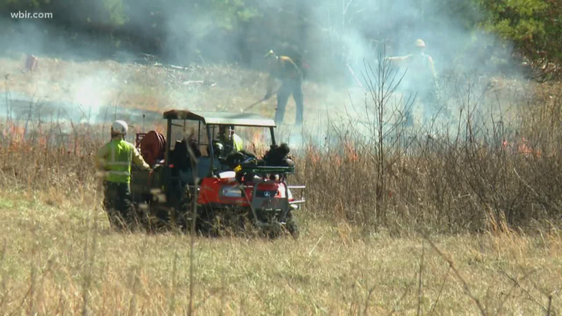 On Monday, the park plans to burn the 230-acre cemetery-marsh unit near the Abrams Falls Trailhead.