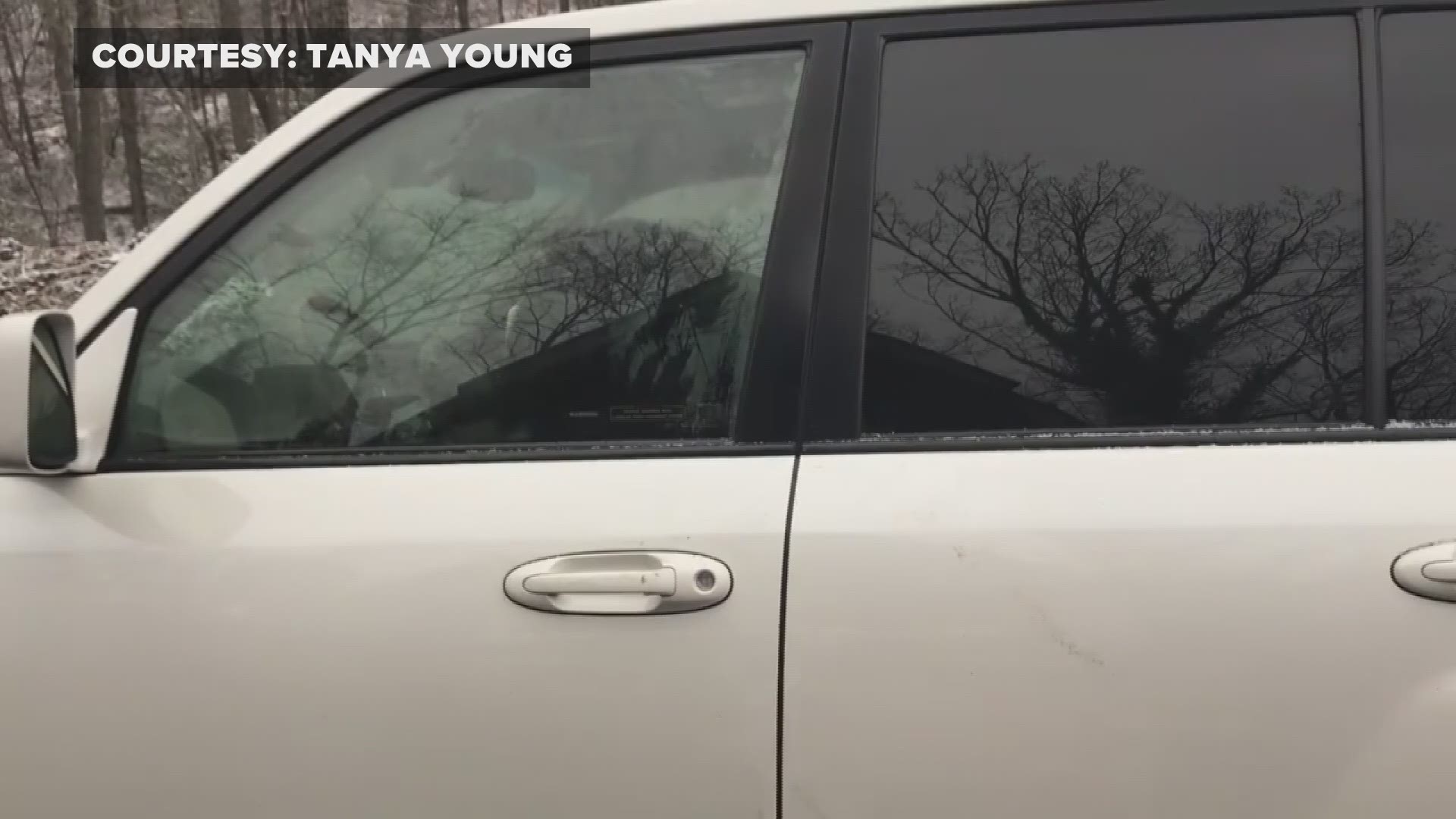 One woman had recorded her and her friends trying to let out a baby bear of a vehicle Saturday afternoon at a cabin in Gatlinburg. The bears were all safe and free of injury, but it was a very scary, close encounter.