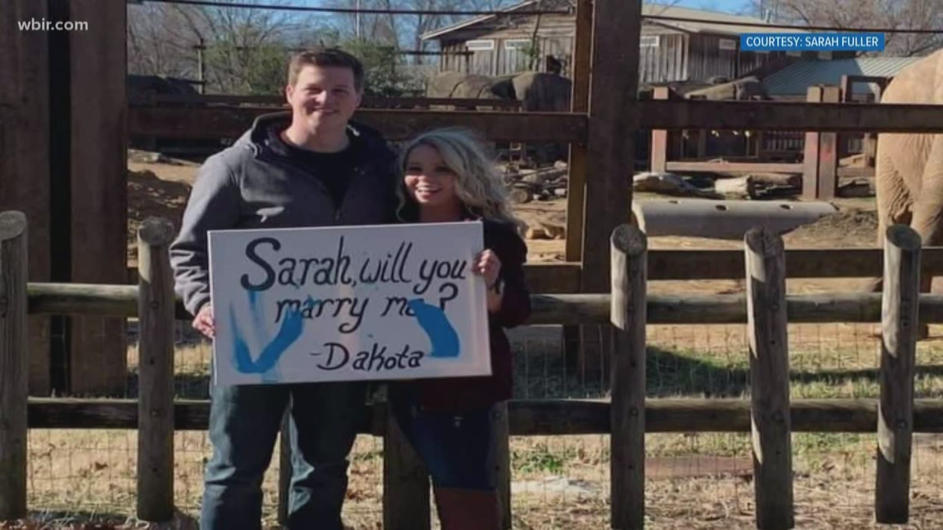 A Zoo Knoxville elephant helped a man propose to his fiance!
