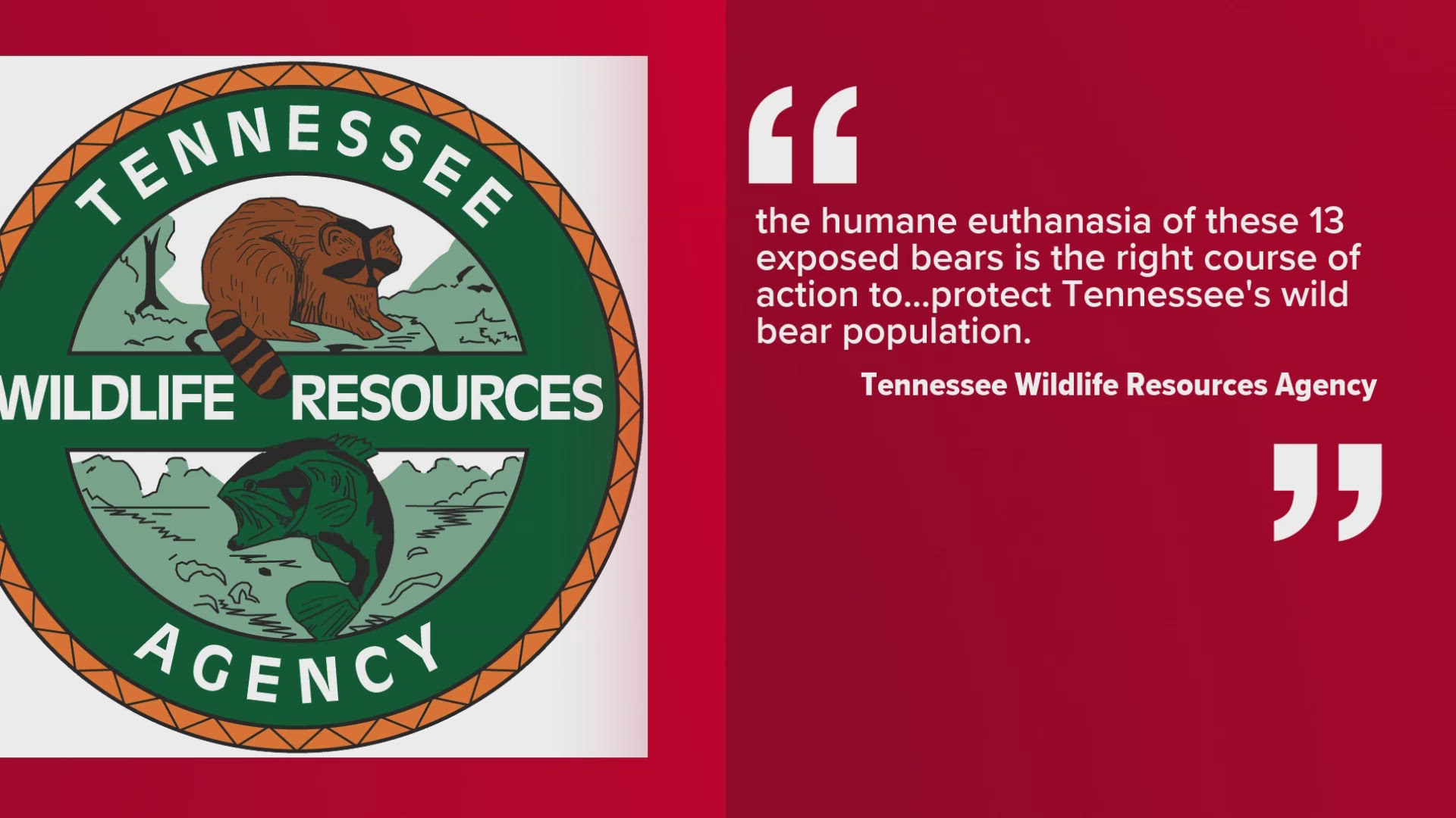 The Tennessee Wildlife Resource Agency said the bears being euthanized were exposed to diseases. Leaders are working to learn how the bears got sick.