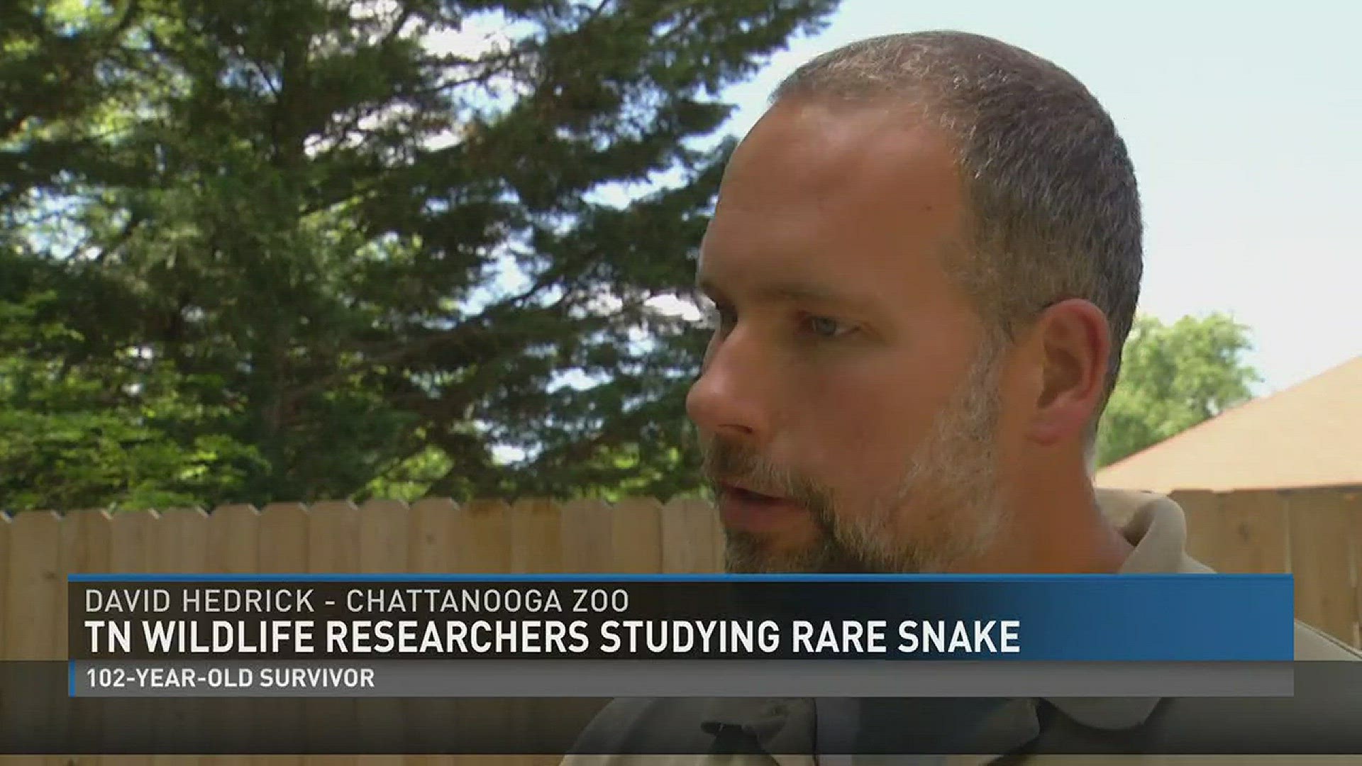 Tennessee wildlife officials and researchers are studying a rare snake found across the state.