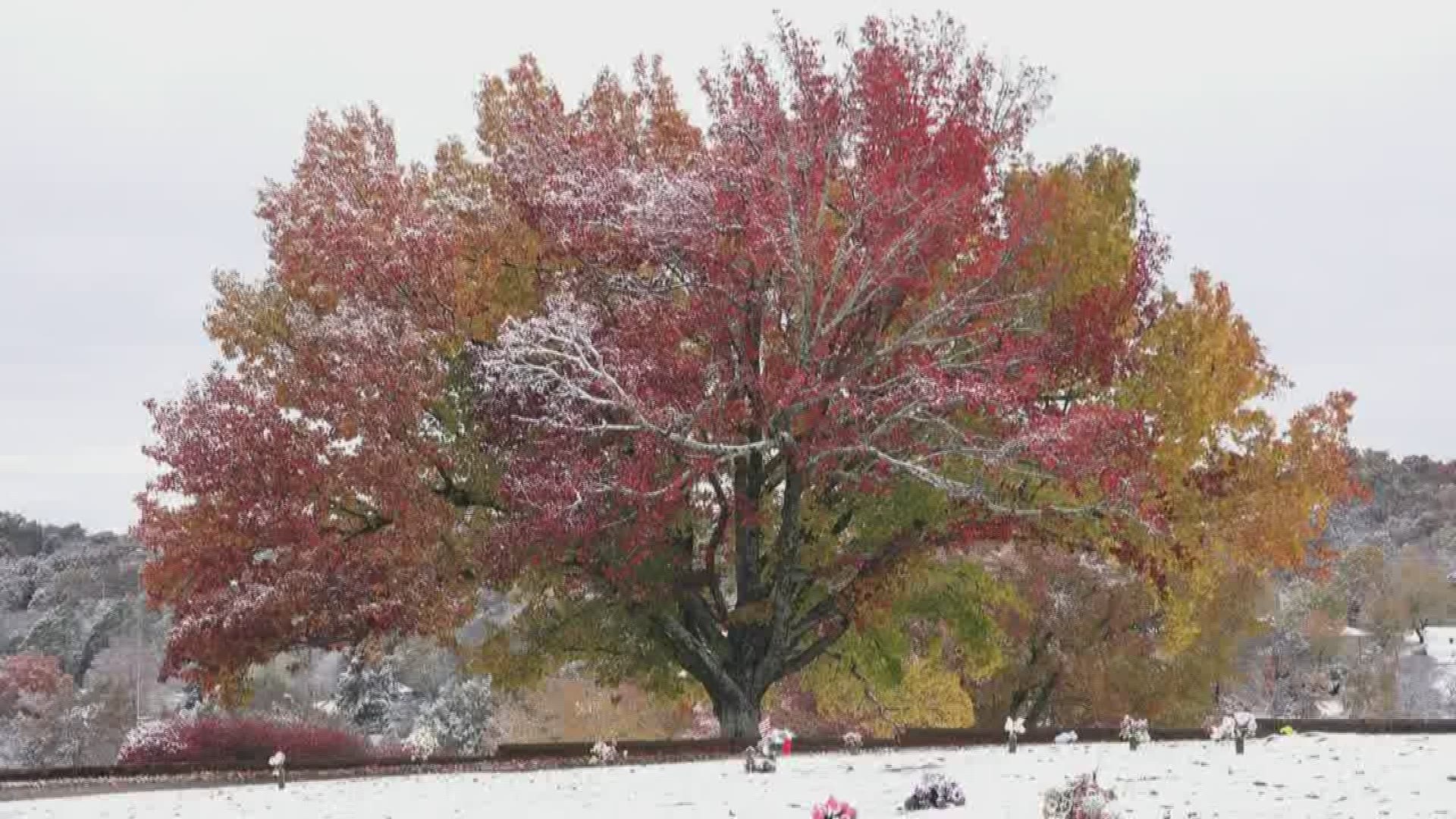 The first snowfall of the year in East Tennessee has turned into picturesque scene, particularly in Blount County.