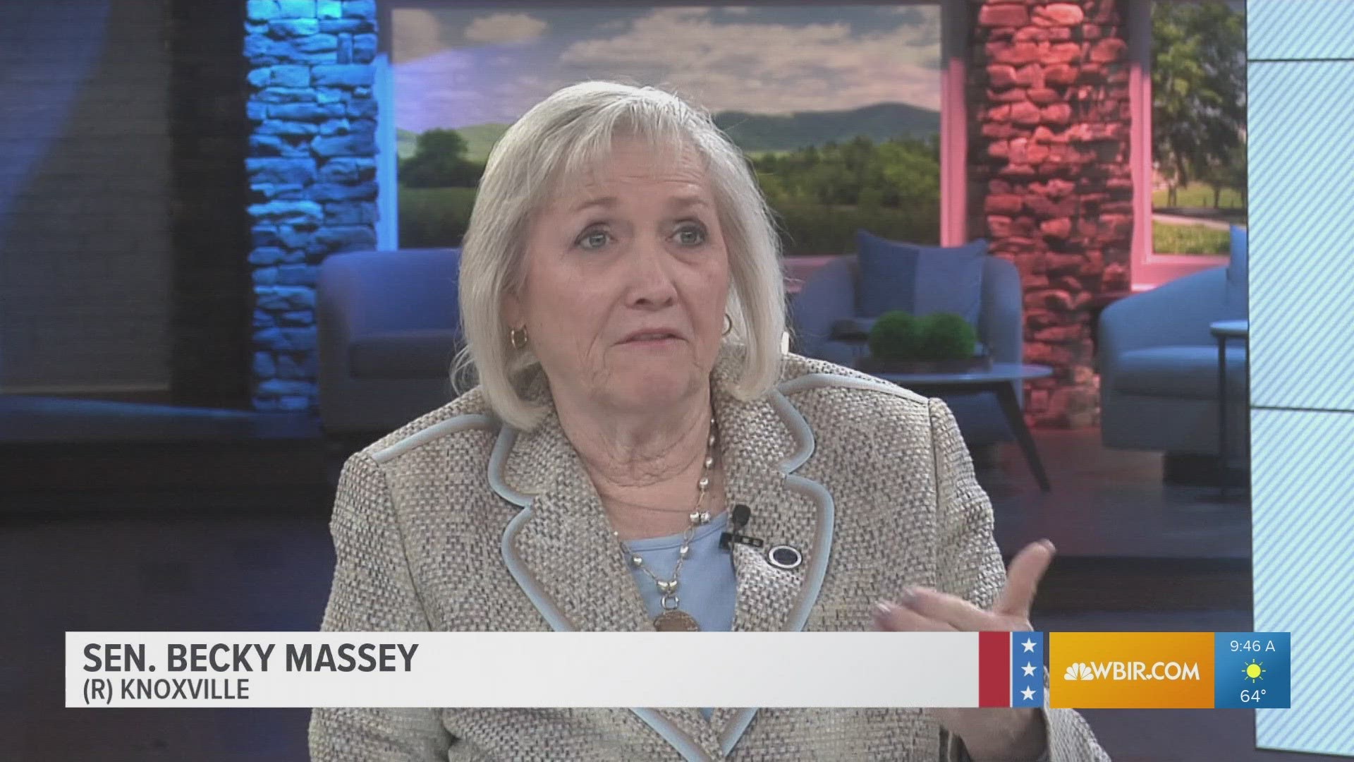 State Sen. Becky Duncan Massey talks about the need for an in-patient mental health center among other topics.