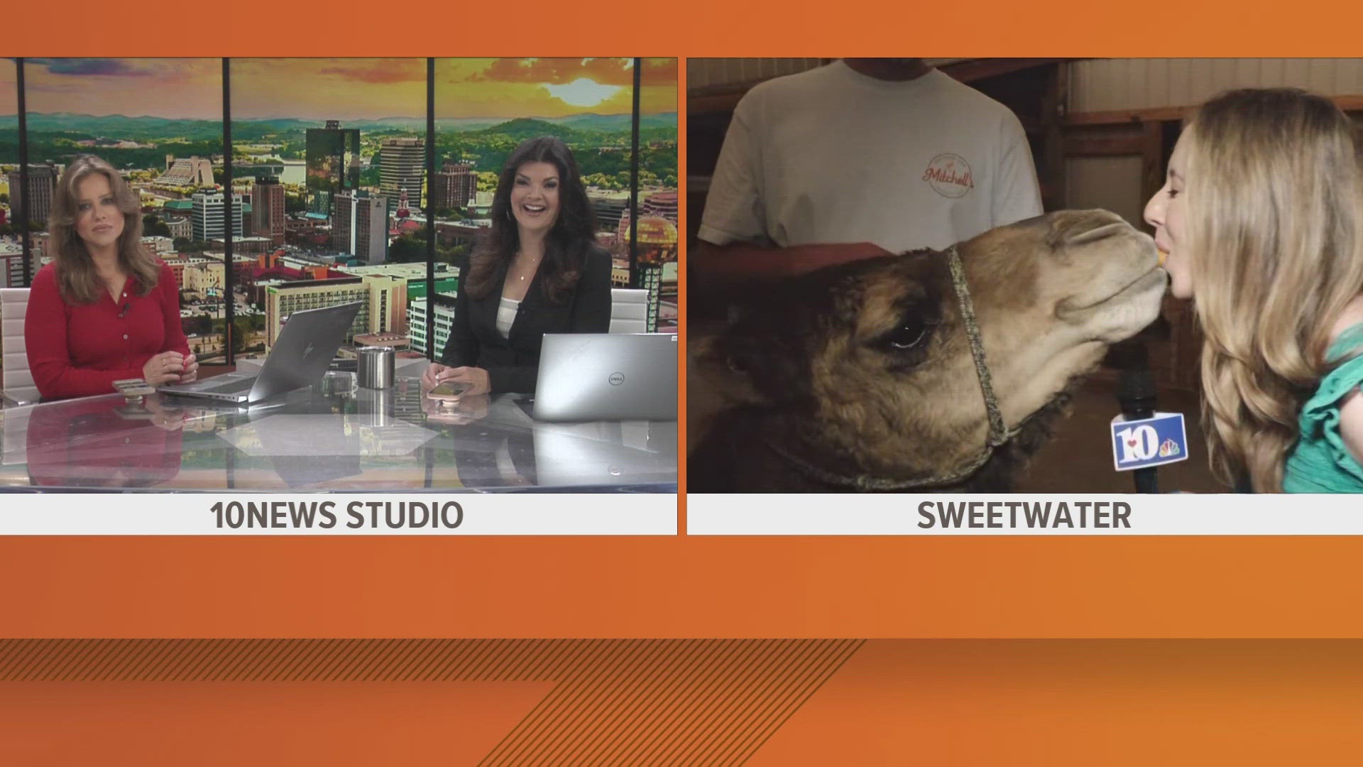 10News anchor Sam Perez got an up close and personal look this morning at some of the featured animals from the zoo!