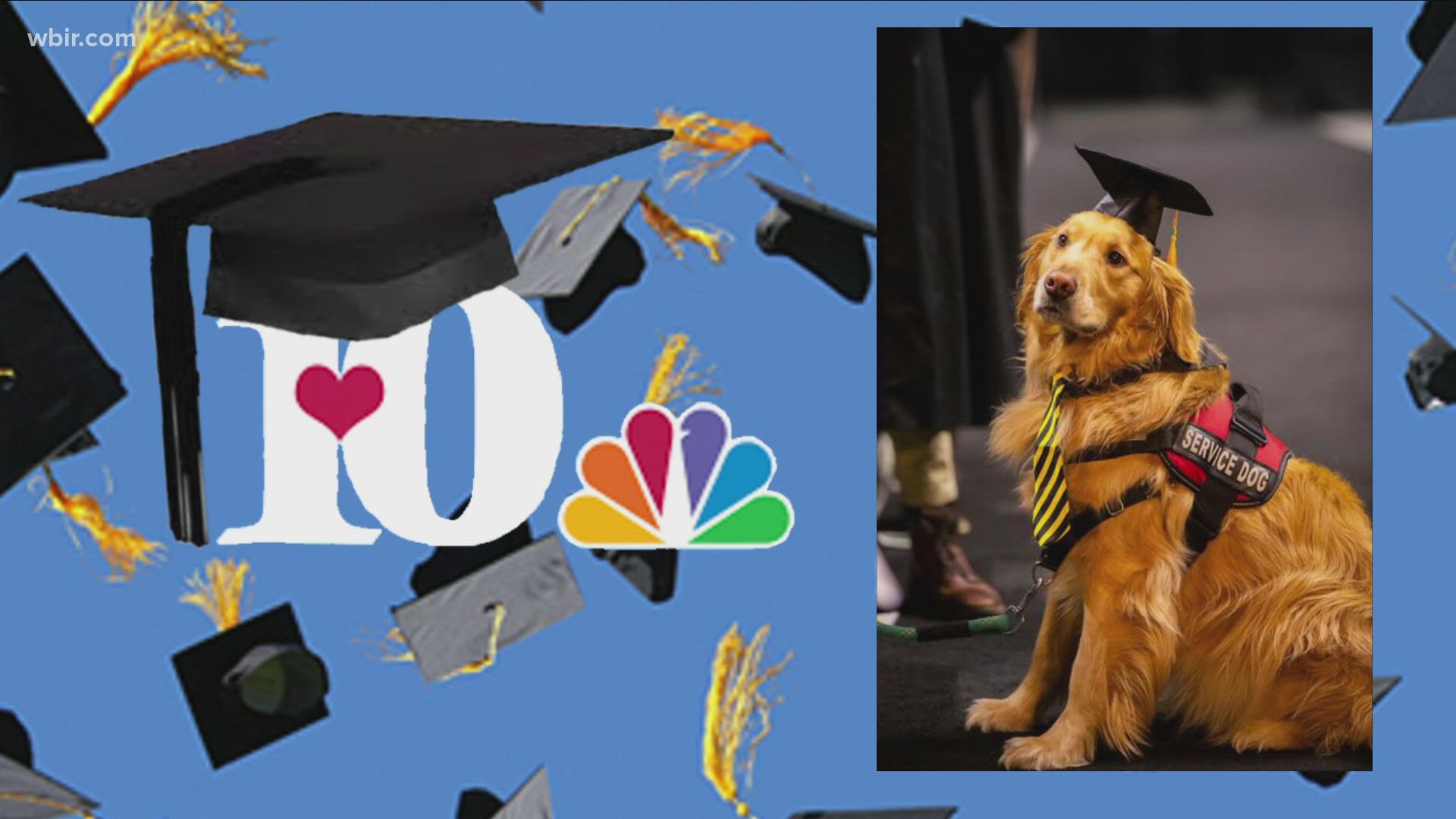 WBIR says congratulations to all graduates this year (human and otherwise)!