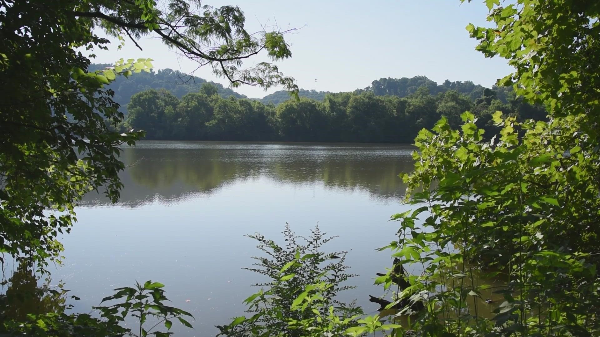 Need a place to take a walk, have a picnic, launch a boat or play fetch with your dog? You could try this West Knoxville spot.