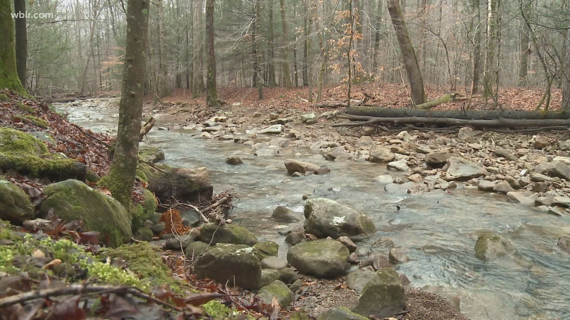 People had the chance to spend the first day of spring soaking up sunlight and enjoying nice weather.