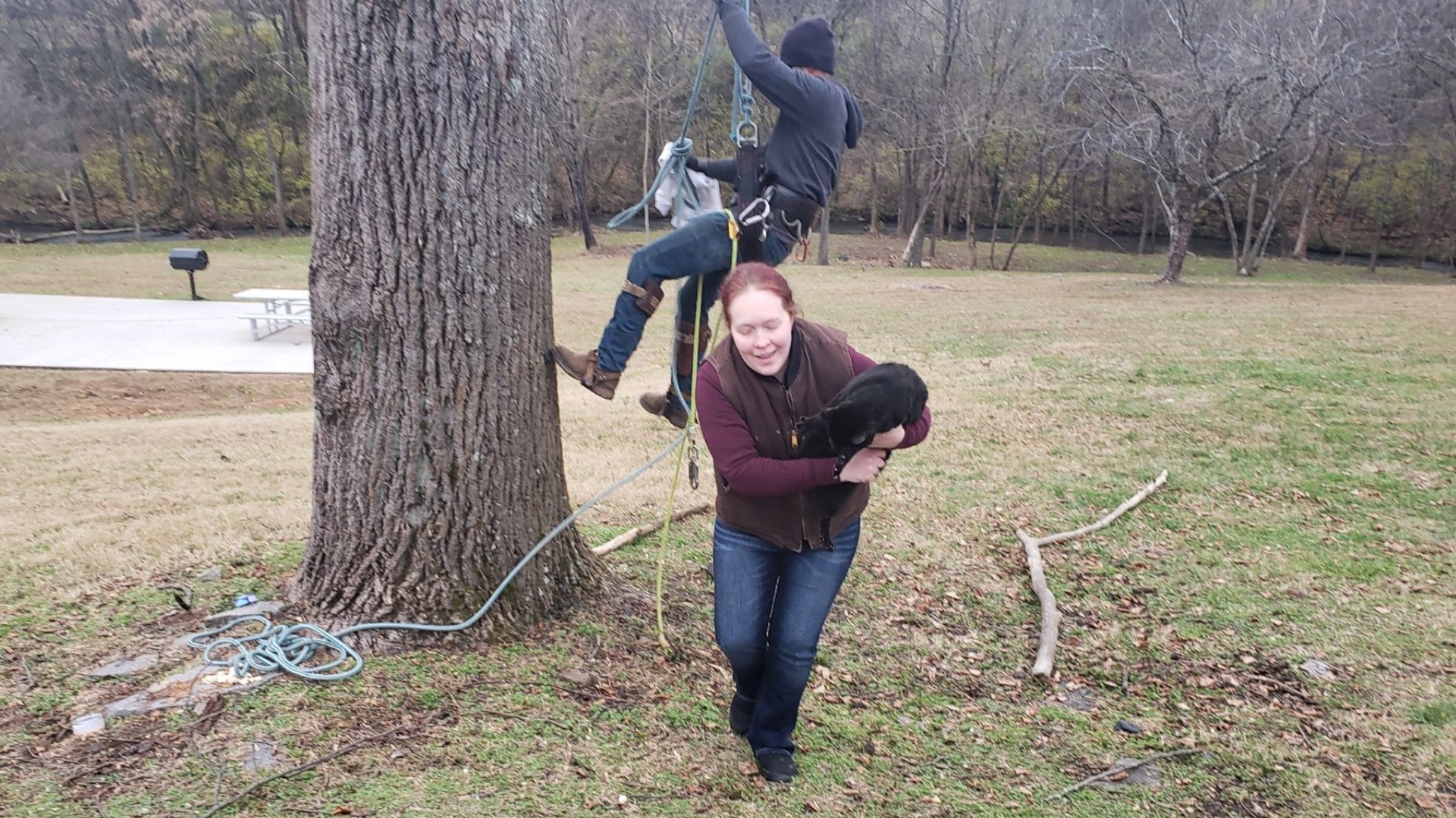 West Knoxville cat stuck in a tree for almost a week rescued Tuesday ...