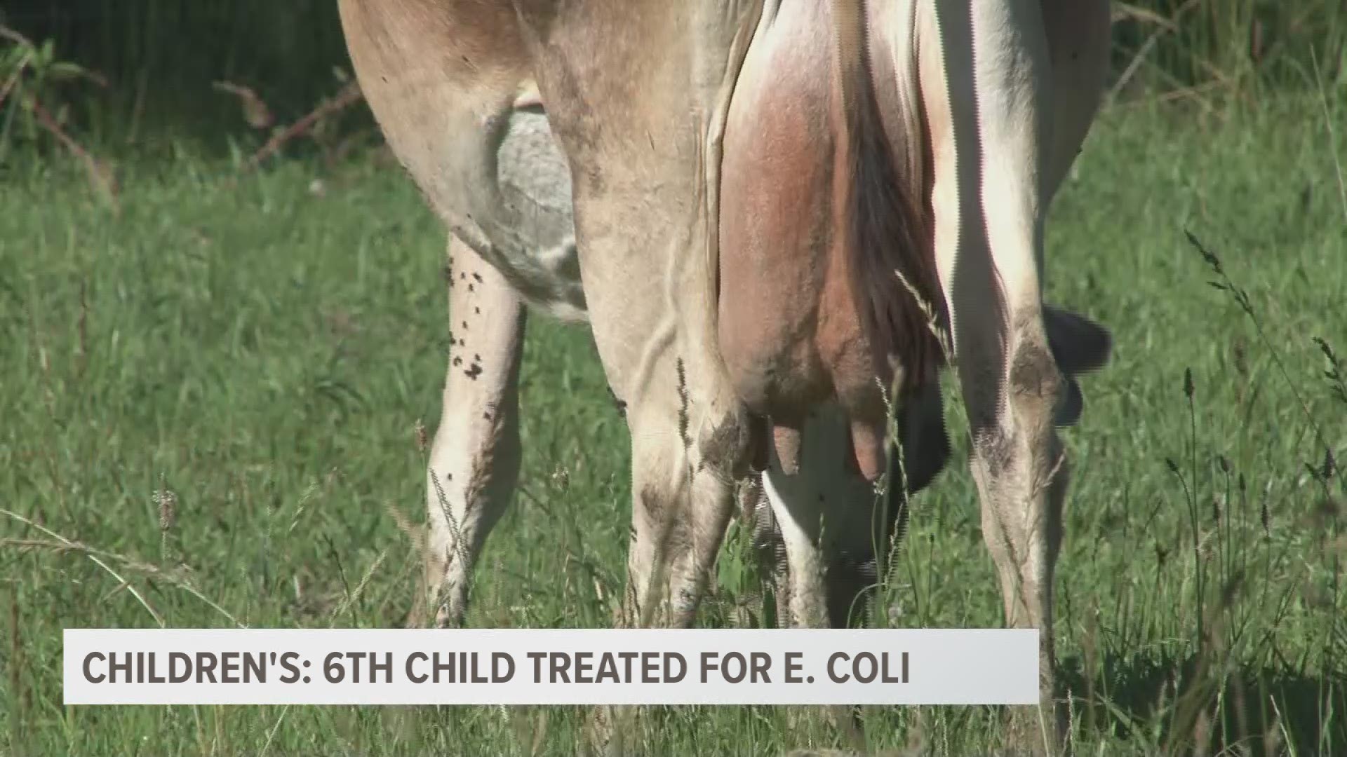 Six children are being treated and a Knoxville childcare facility has been shut down as health officials work to determine the cause of an E. coli outbreak.