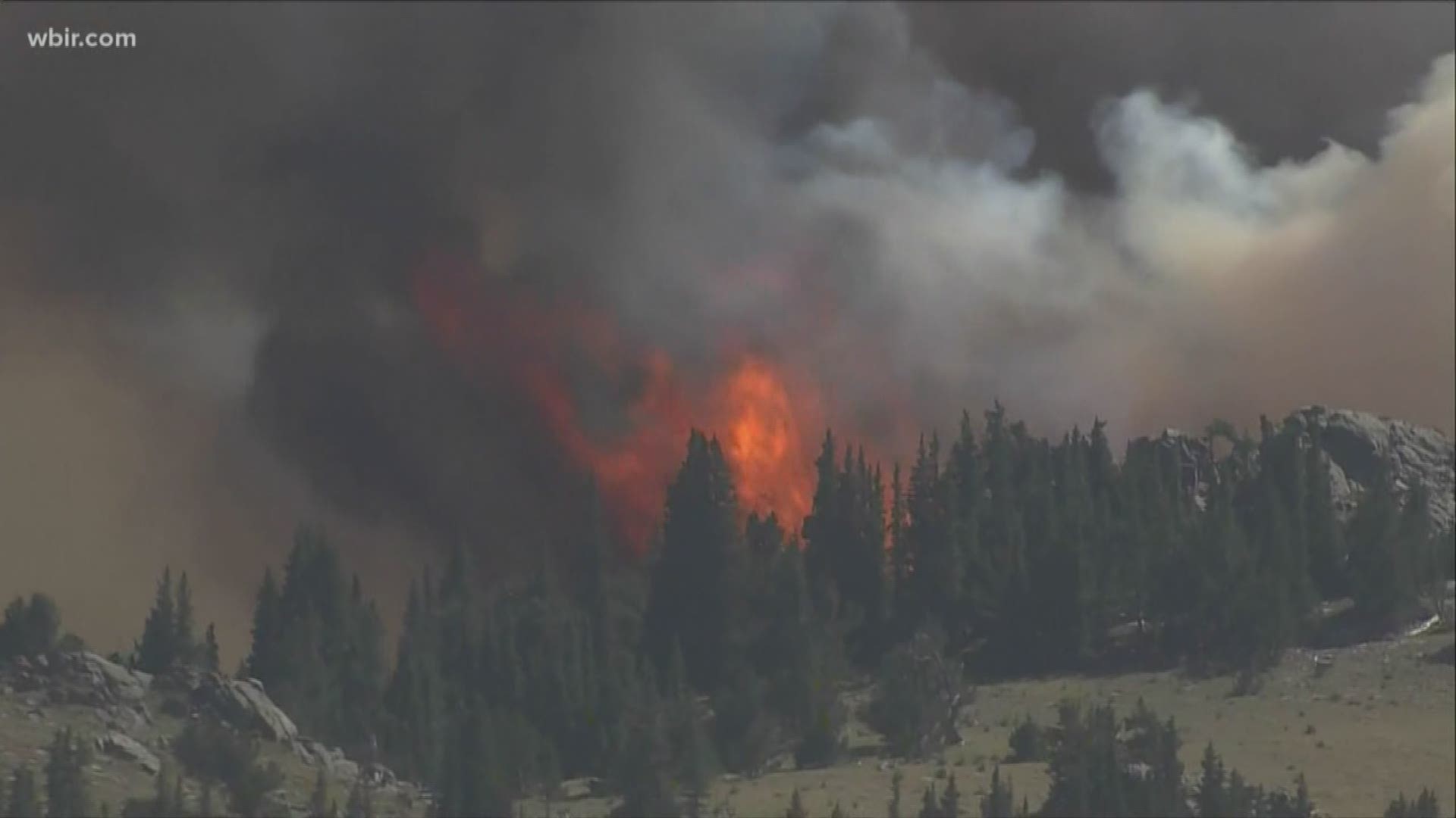 20 East Tennessee firefighters are helping battle a wildfire in Colorado.