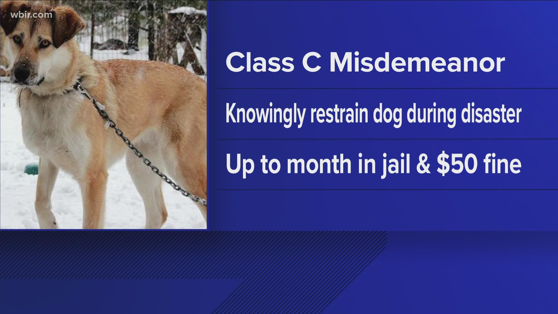 The bill would make it a crime for a dog to be tied up outside during severe weather, punishable by up to a month in jail.