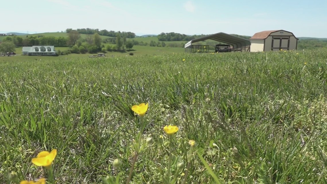Proposal to build KARM 'residential restoration program' in Jefferson Co. does not pass - Vimarsana News