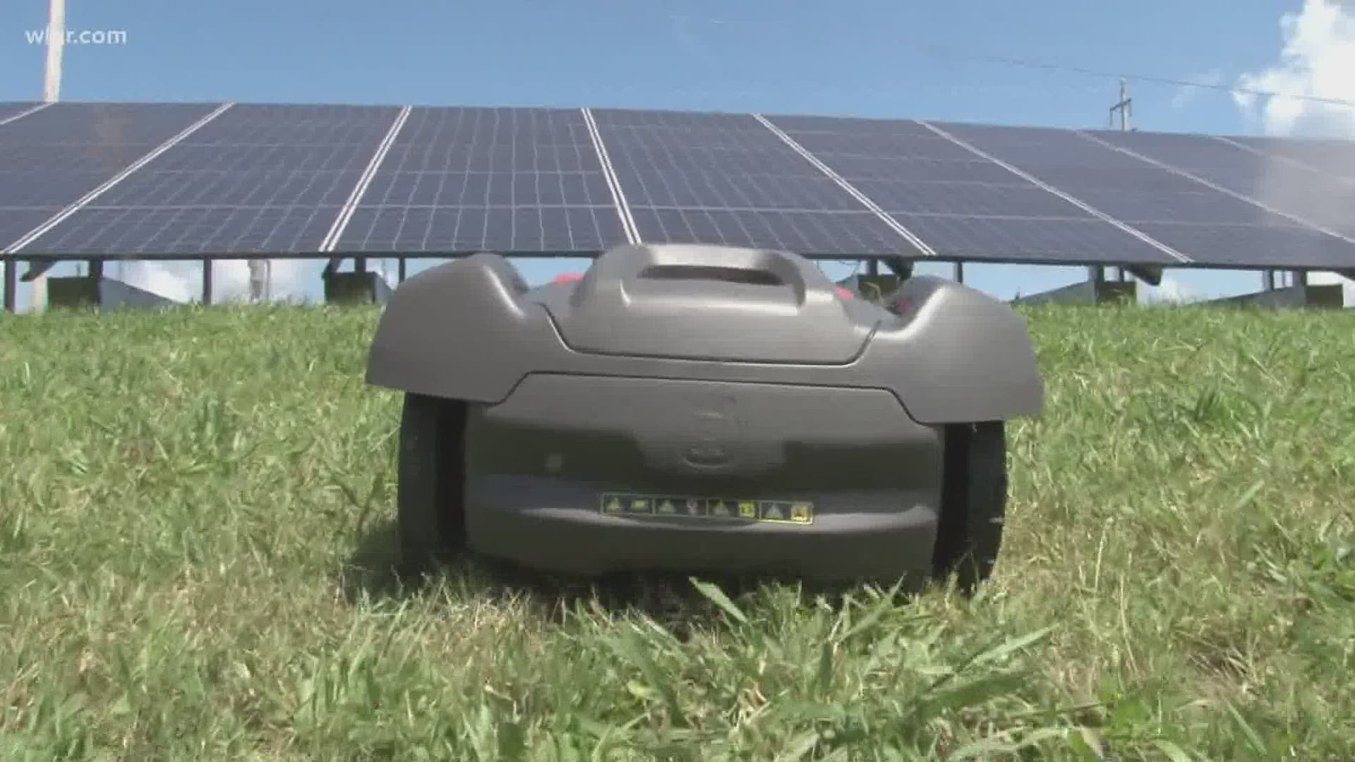 Reporter Katie Inman explains how a small Jefferson County hardware store is the leading force installing these robot lawn mowers of the future.