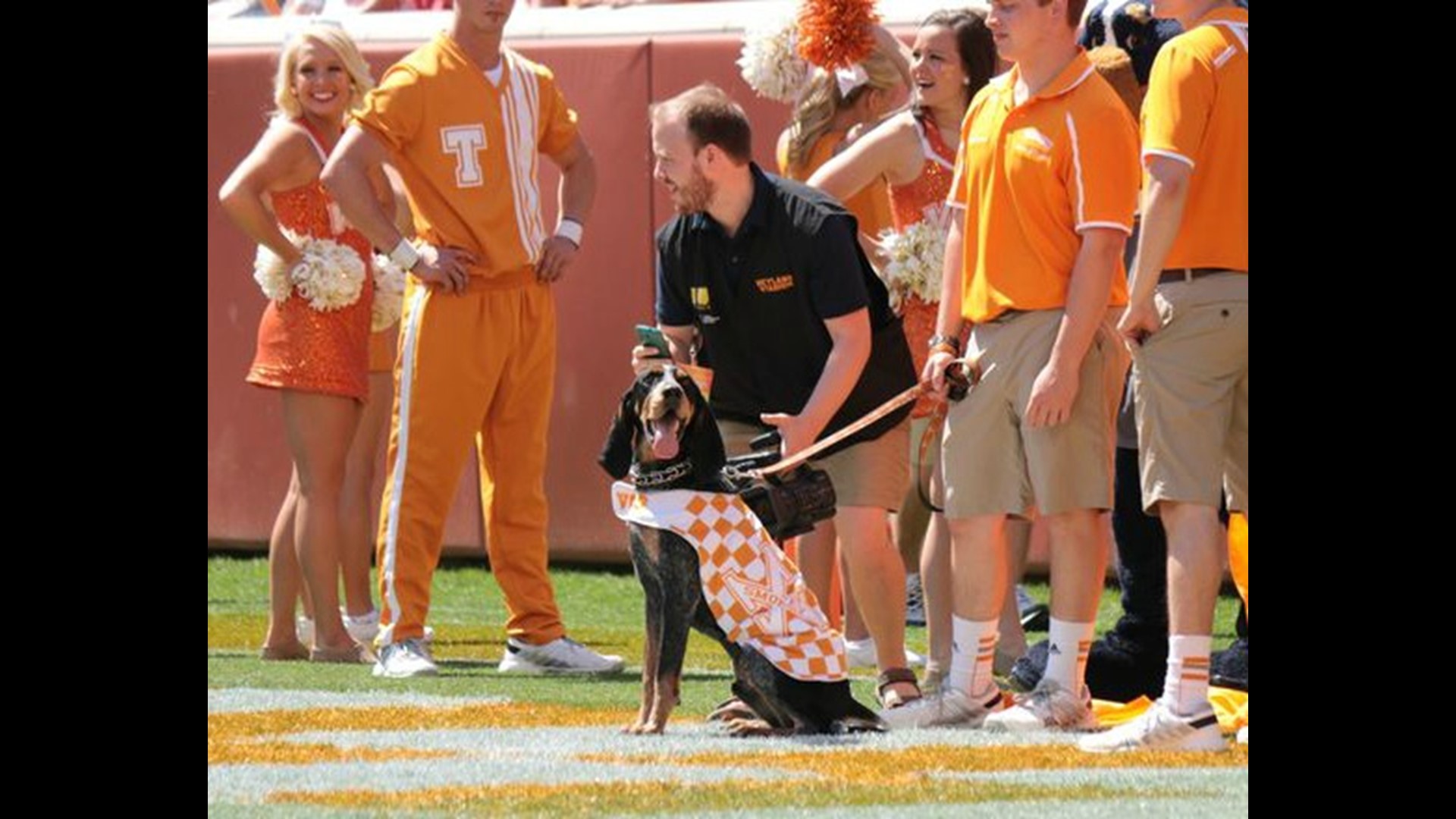 Tennessee mascot Smokey is celebrating 66 years on the sidelines | wbir.com