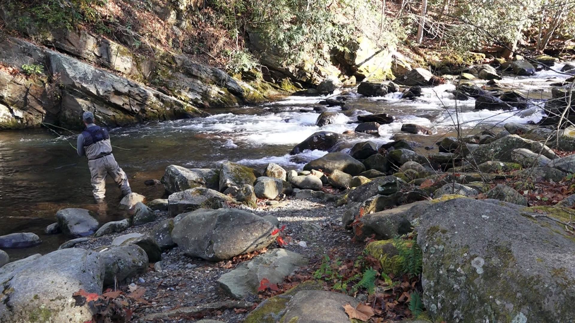 Brook trout fishing expands in Smokies