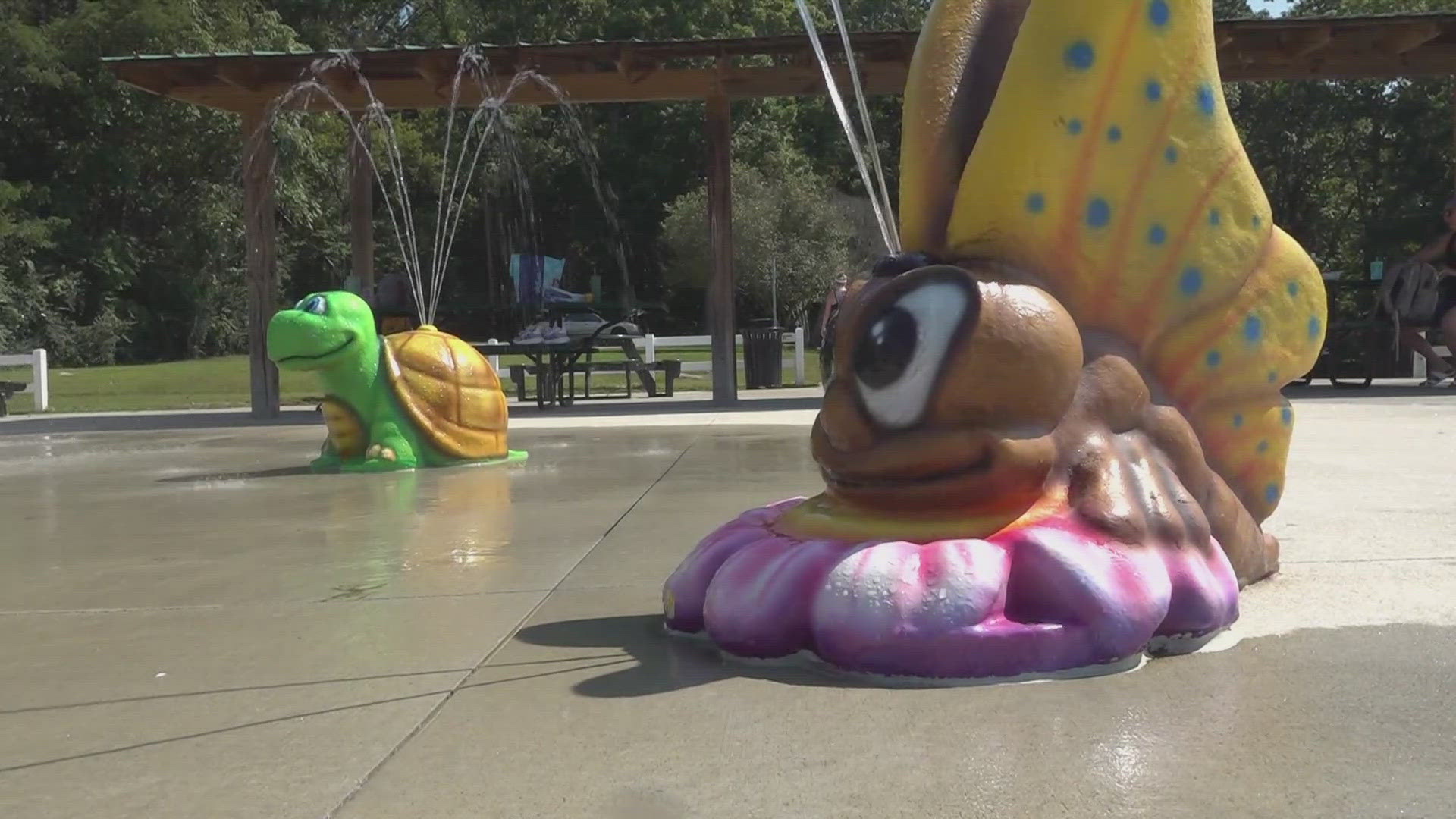 Summer is here, and this week looks to be the perfect time to enjoy the outdoors!