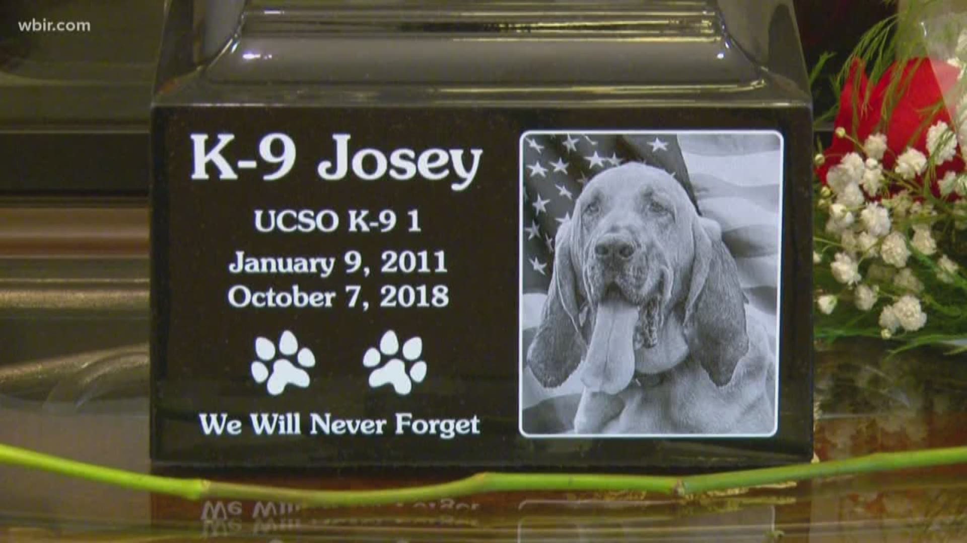 The seven-year-old blood hound passed away suddenly of an undiagnosed medical condition last week.