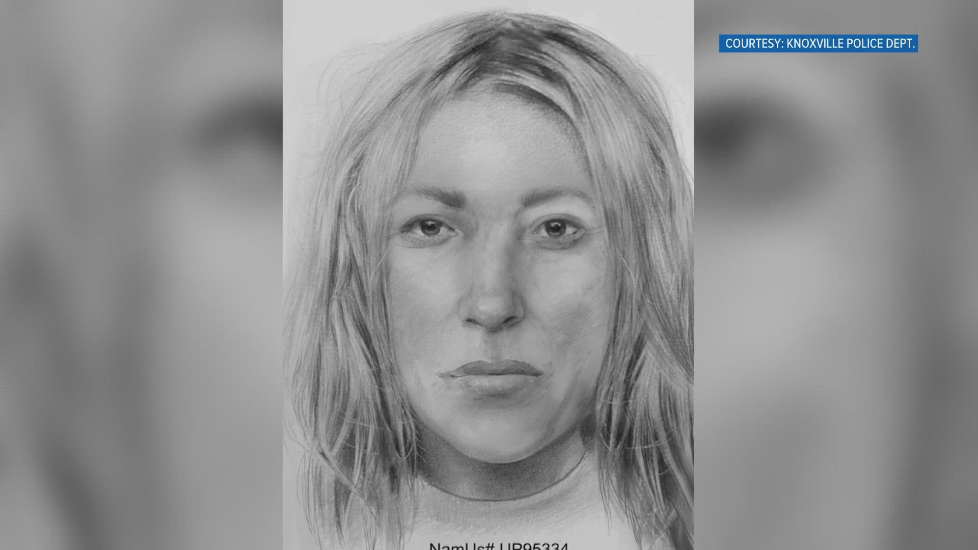 The woman's remains were found on Aug. 16, 2022, in a wooded area around E. Fourth Ave. and Third Ave. in 4th and Gill, the Knoxville Police Department said.