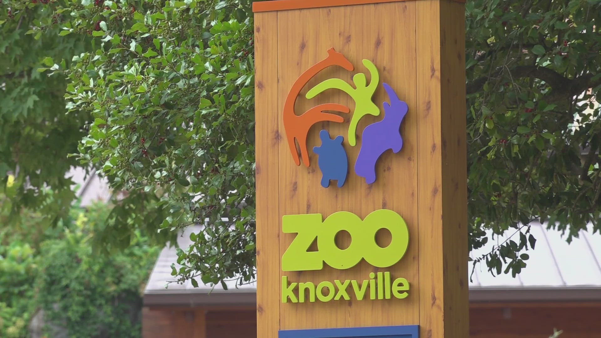 "Street succeeds Lisa New, who served as President and CEO from 2013 through 2023," the zoo said.