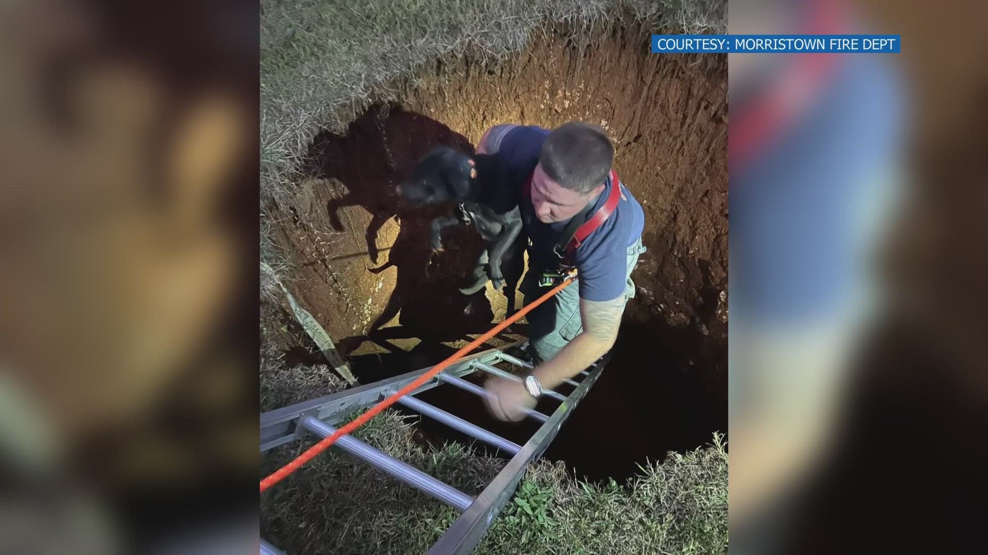 The Morristown Fire Department said they received a call about a trapped dog in a sinkhole Friday evening and were able to pull the dog out.