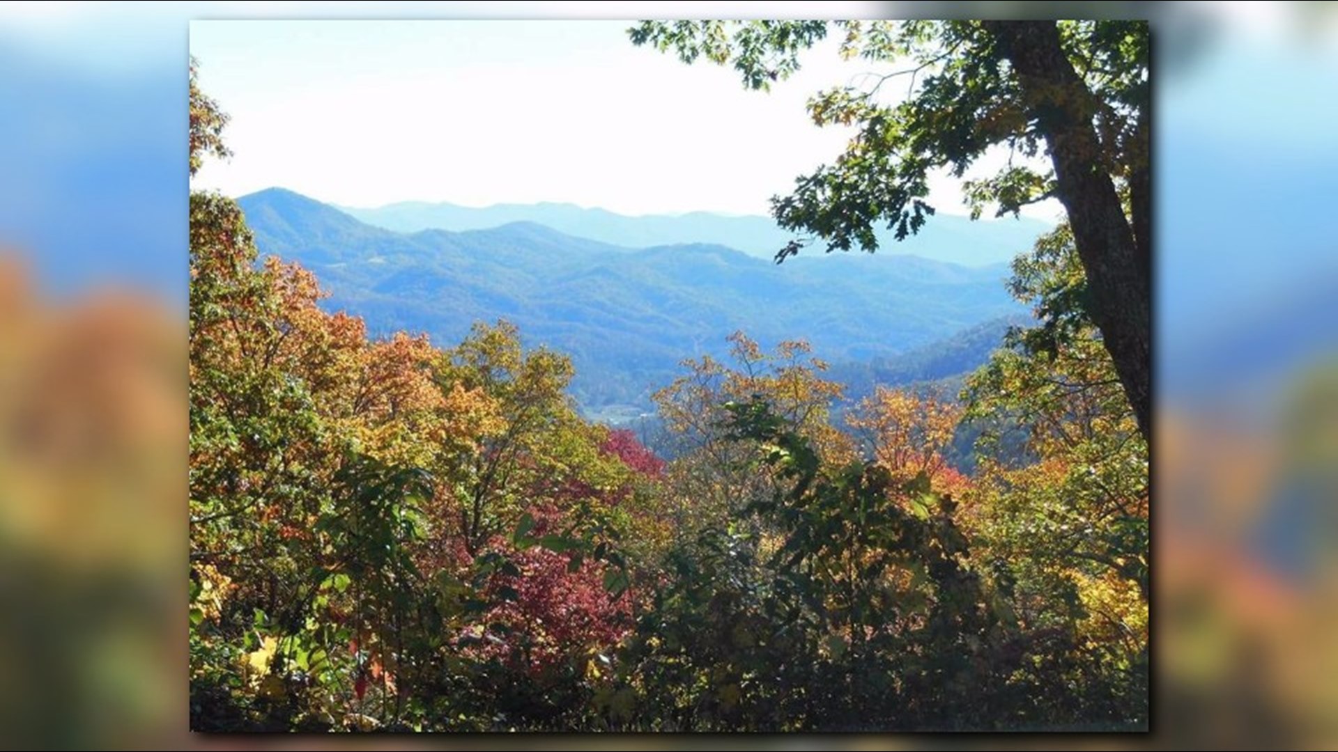 When East Tennessee's fall foliage will be at its finest Interactive
