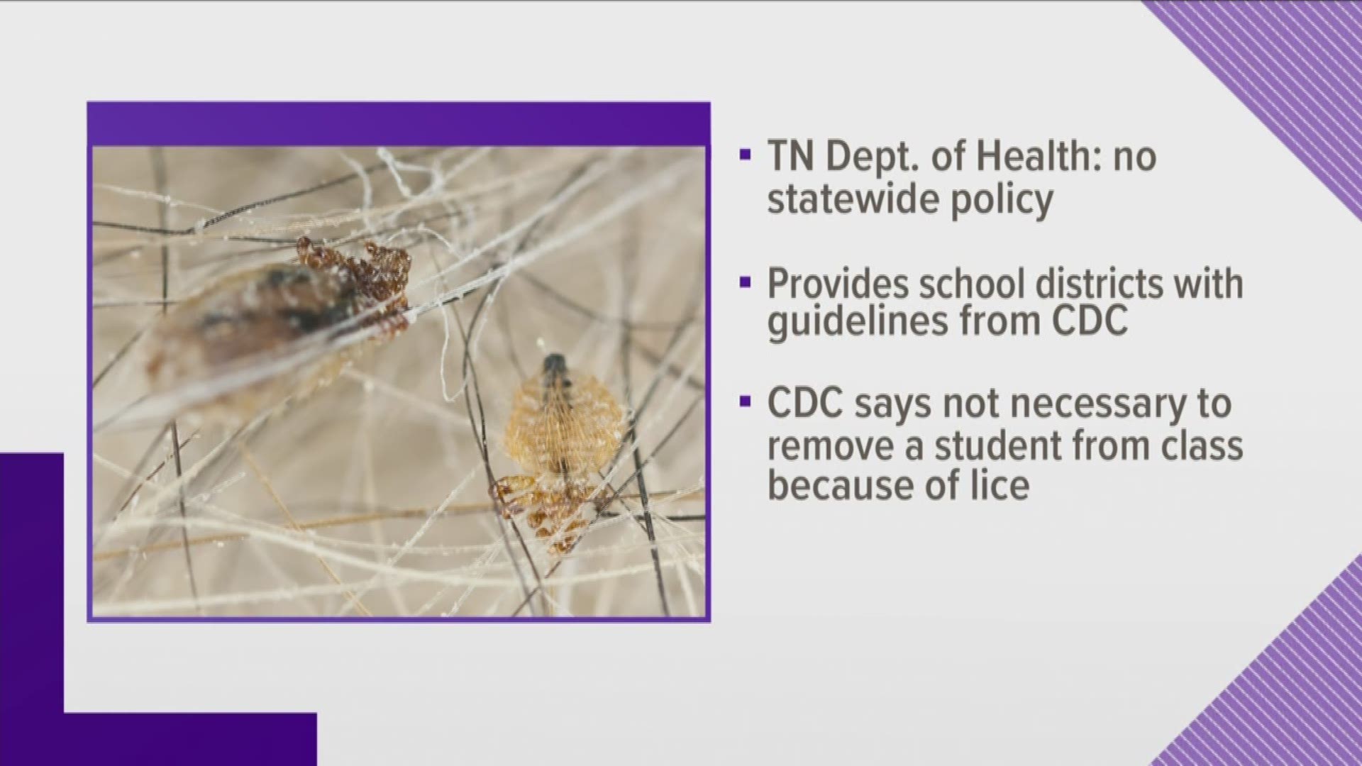 We've seen hundreds of comments online, asking about policies on head lice at local schools.