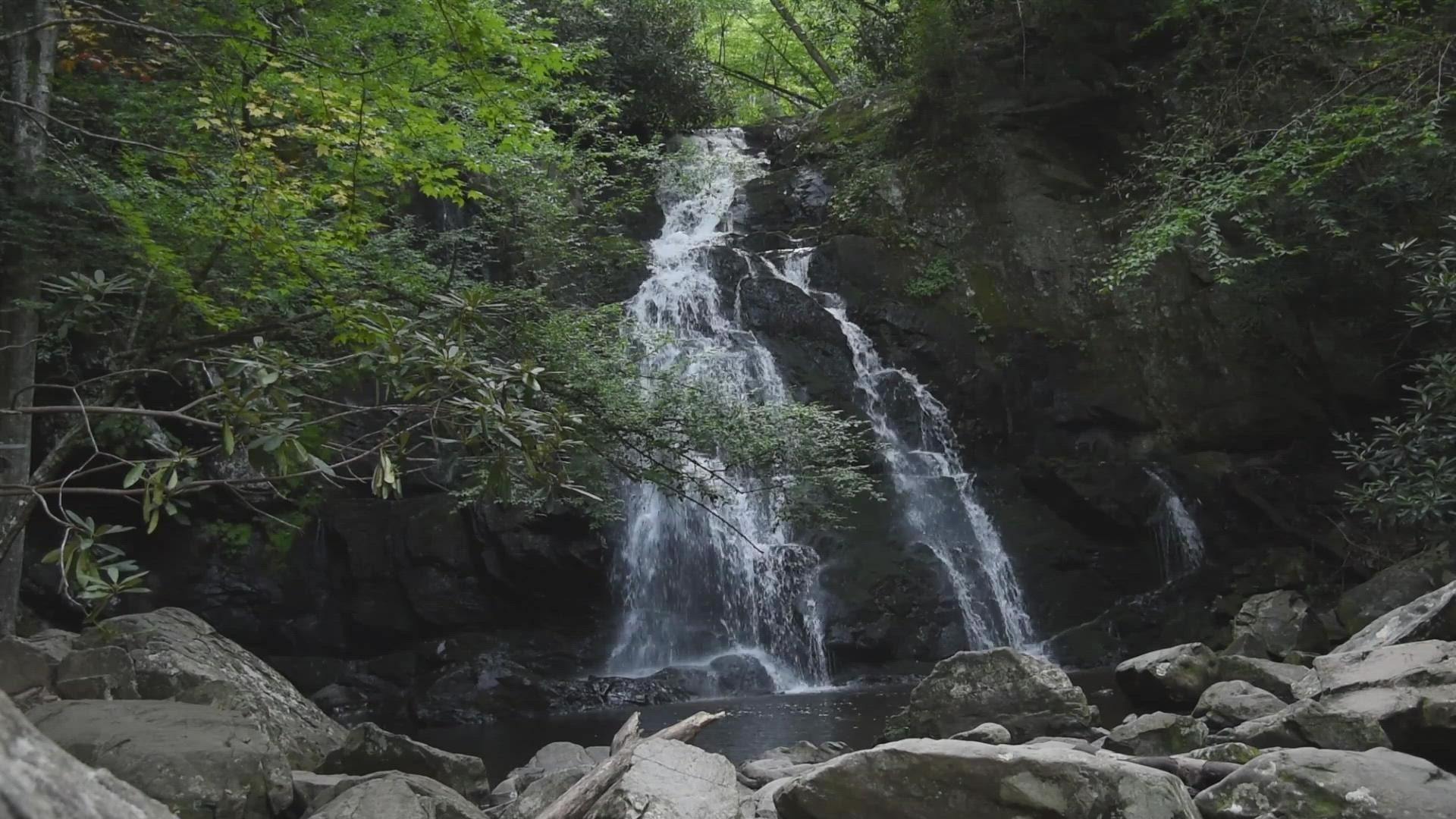 Sights and sounds from Spruce Flats Falls in the Great Smoky Mountains National Park.