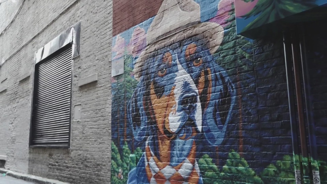 Knoxville artist brings Smokey to Strong Alley in new downtown mural