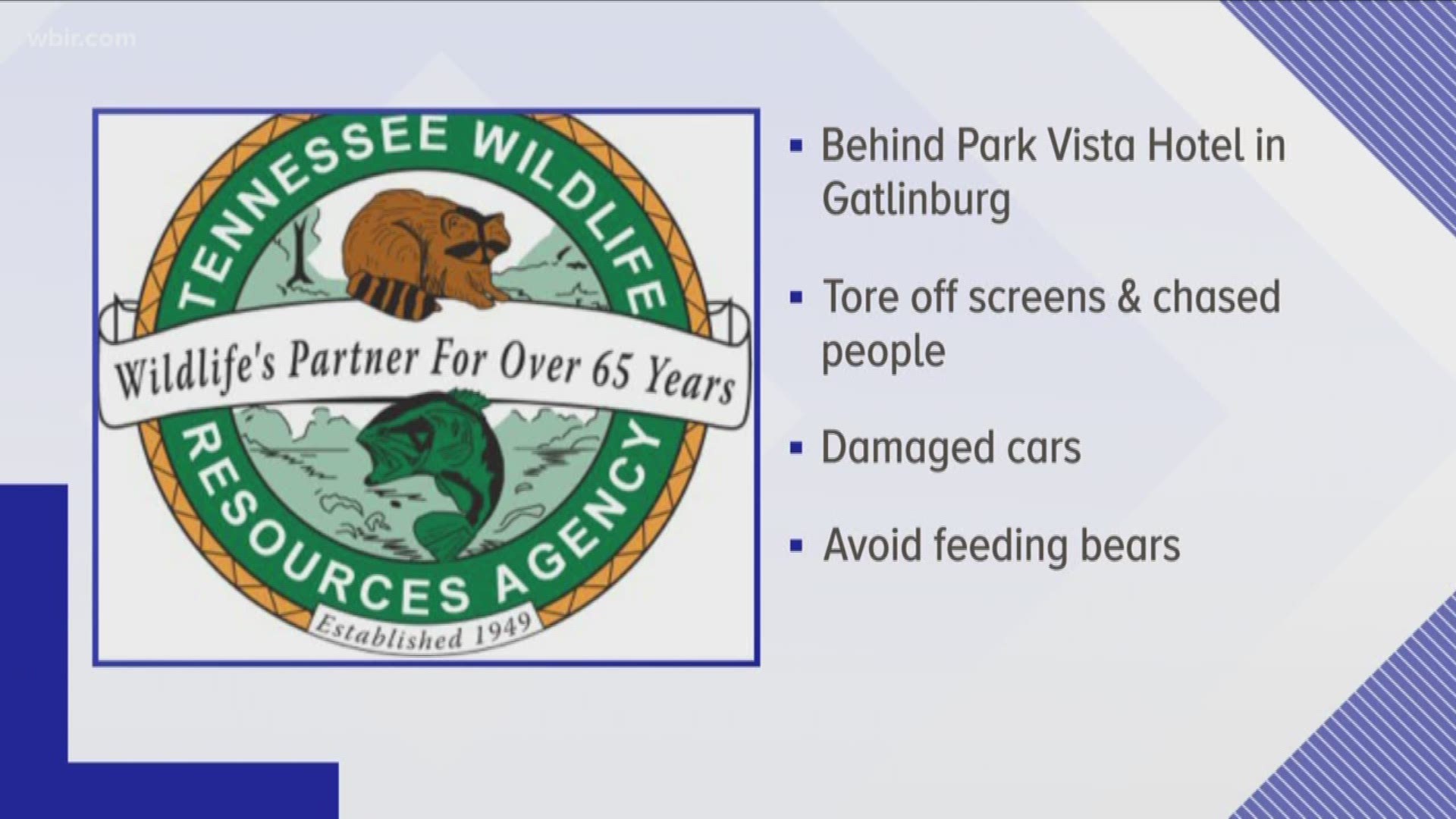 Wildlife officials say three bears were trapped and had to be euthanized on Saturday for exhibiting aggressive behavior toward humans.