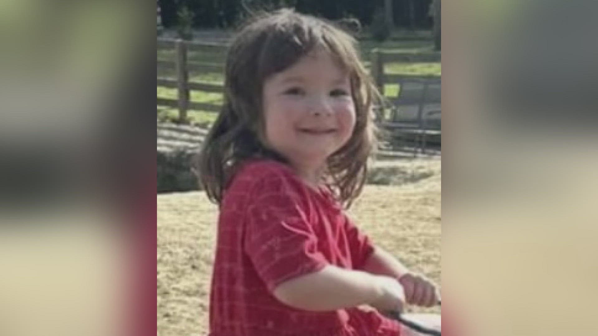 Family and friends are preparing to say their final goodbyes to four-year-old Evangeline Gunter who was shot and killed last month in Rockwood.