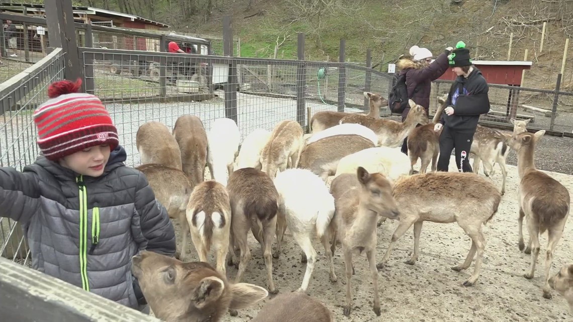 Hometown Spotlight: Smoky Mountain Deer Farm