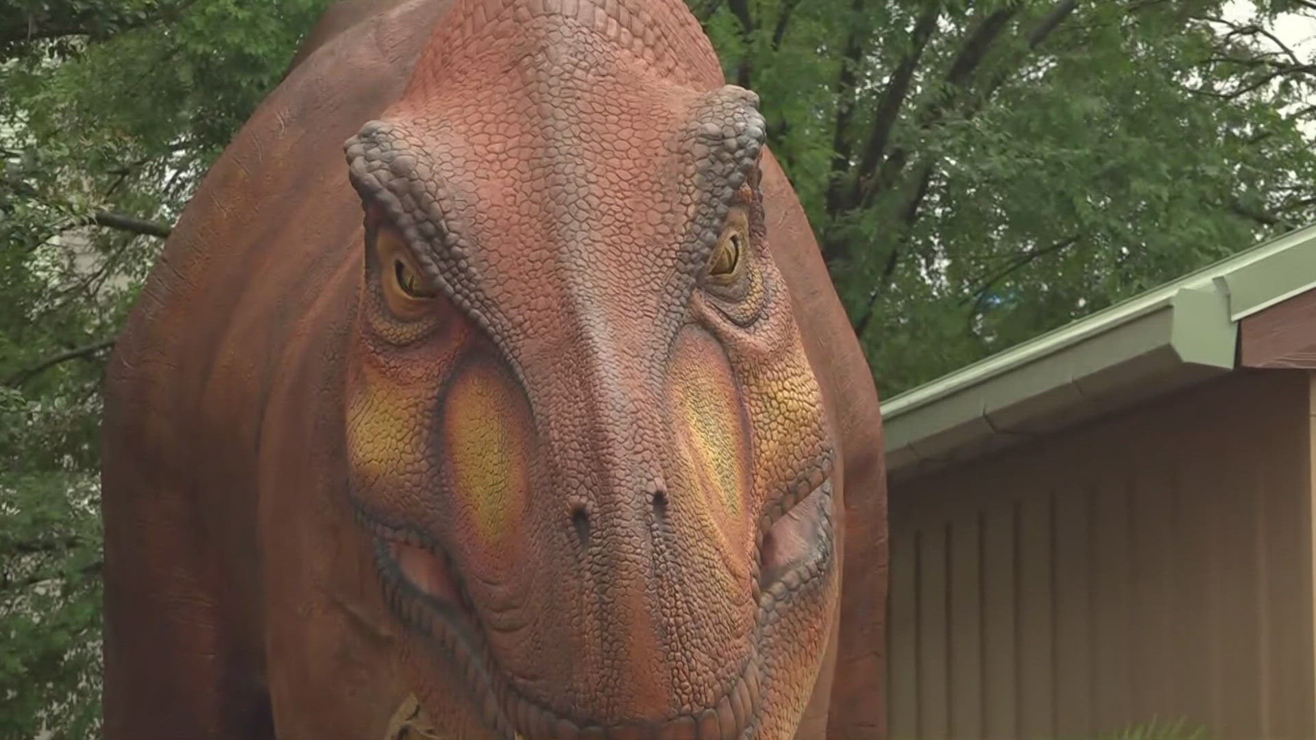 Jurassic Adventure at The Island in Pigeon Forge will immerse families in a world of dinosaurs, discovery and adventure.
