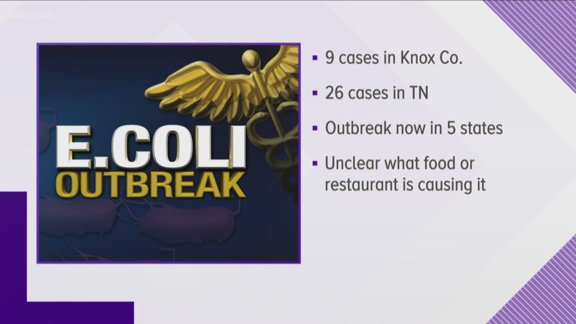 There were a total of 26 cases in Tennessee as of April 9 that were part of the outbreak, the CDC said on its website.