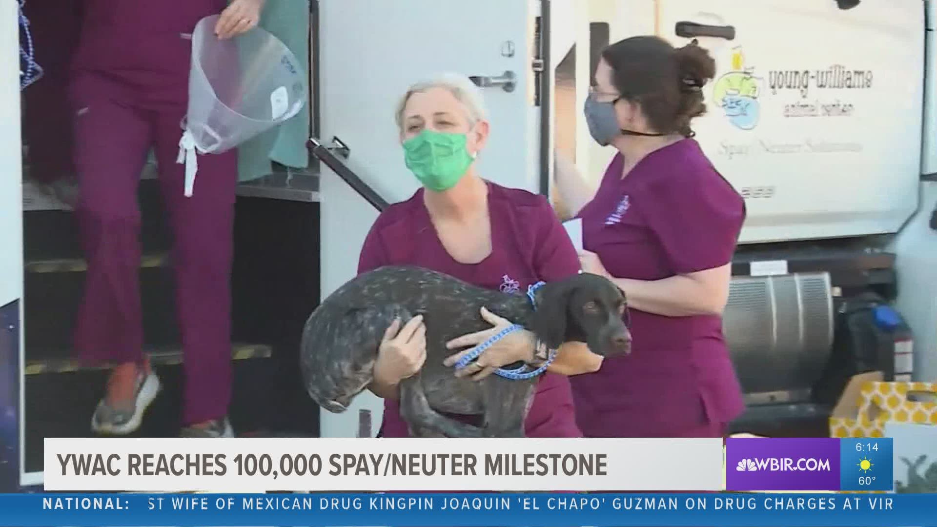 Young-Williams Animal Center celebrated a huge milestone today!