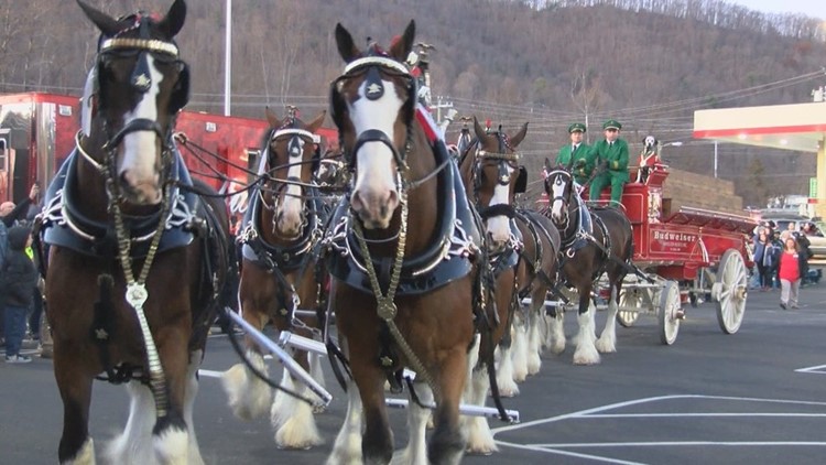 Budweiser Clydesdales to appear in Meridian, Philadelphia