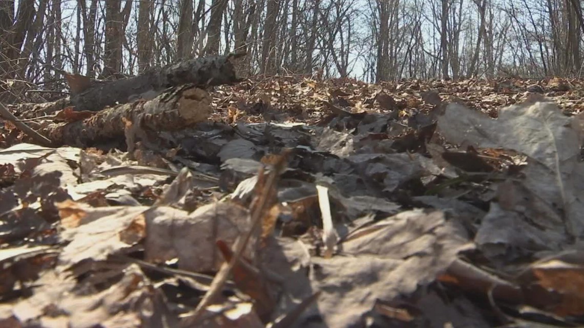 Dry conditions spark fall fire fears in East Tennessee | wbir.com