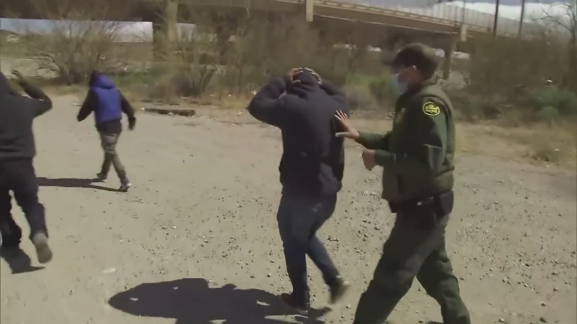 ICE detainees in Knox County Jail have quadrupled in a year, researcher ...