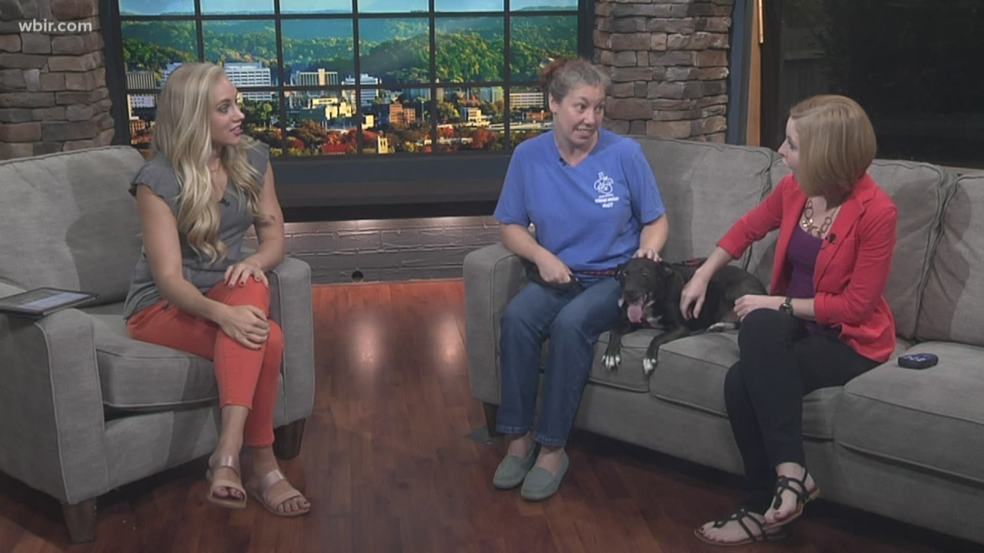 Young Williams Animal Center introduces us to Flash and talks about the importance of spaying and neutering your pets.