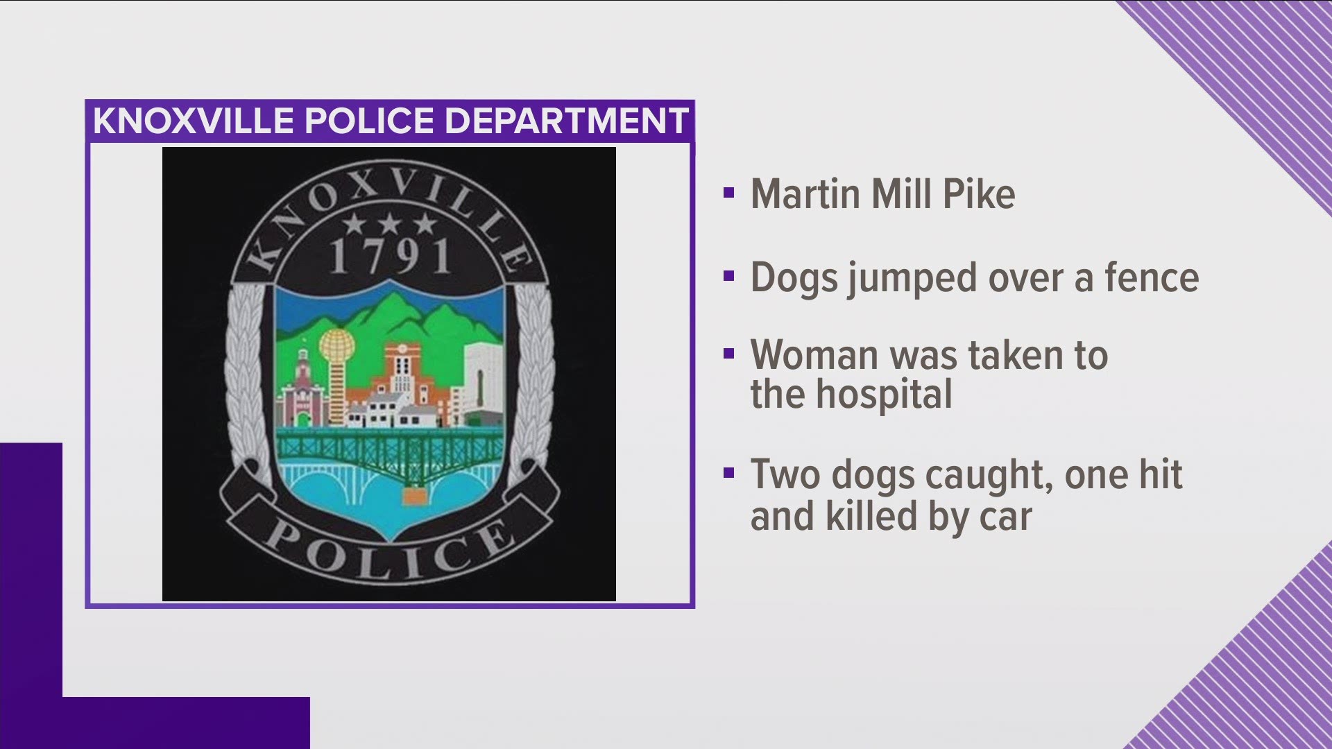 A Maryville woman is facing charges after police say her three abandoned dogs attacked a person  in South Knoxville.