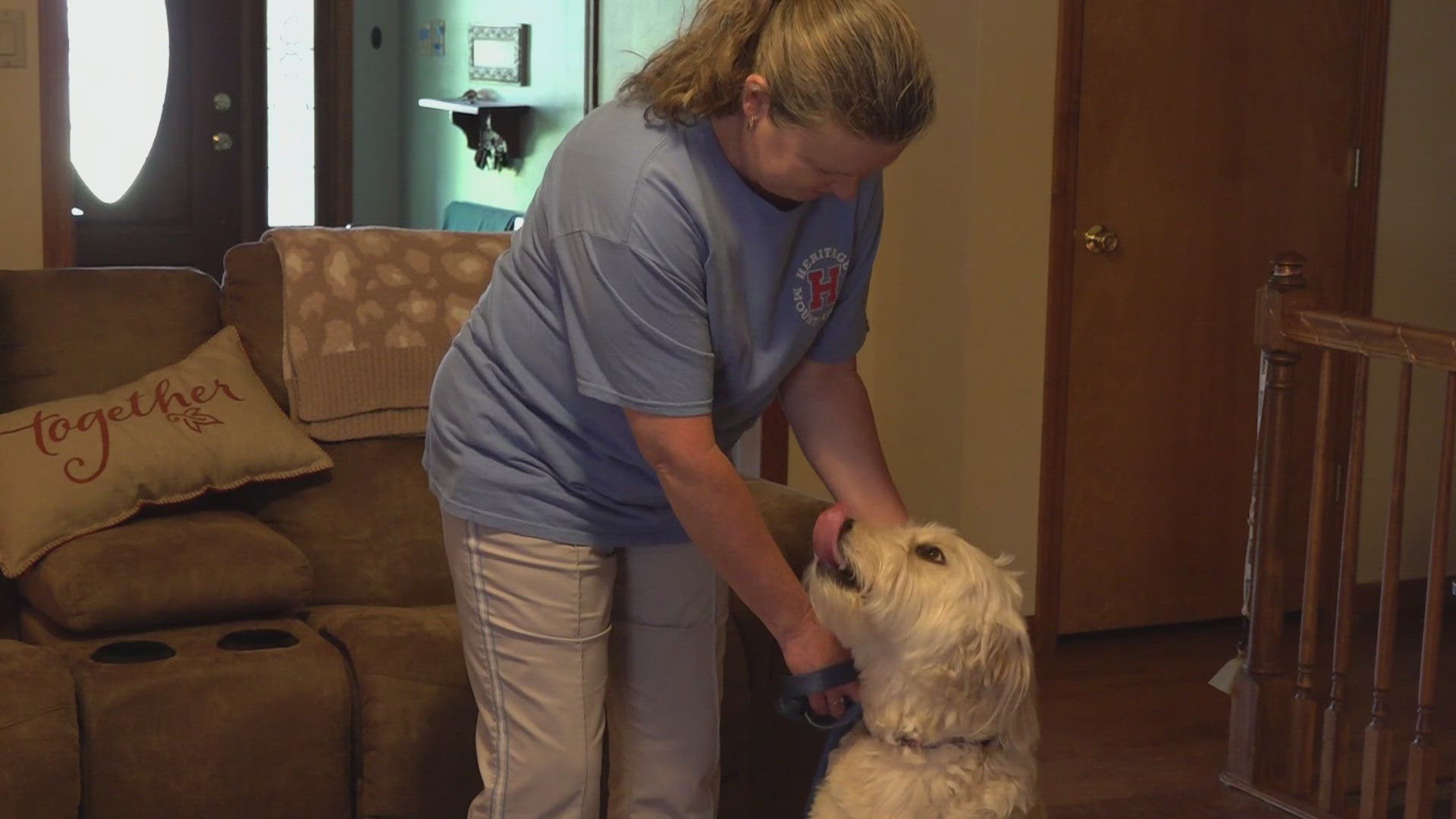 Cheryl Varitek opens up about how she and her dog had to hide for safety when a shooting broke out in her neighborhood.