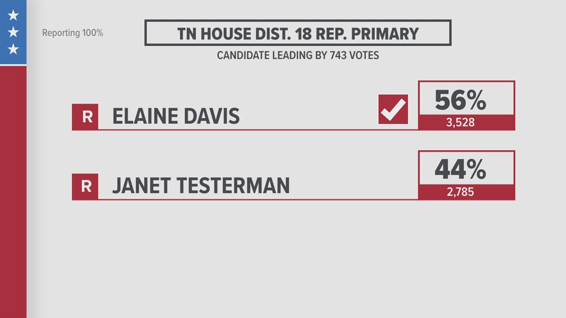 Elaine Davis wins Primary race for House seat 18