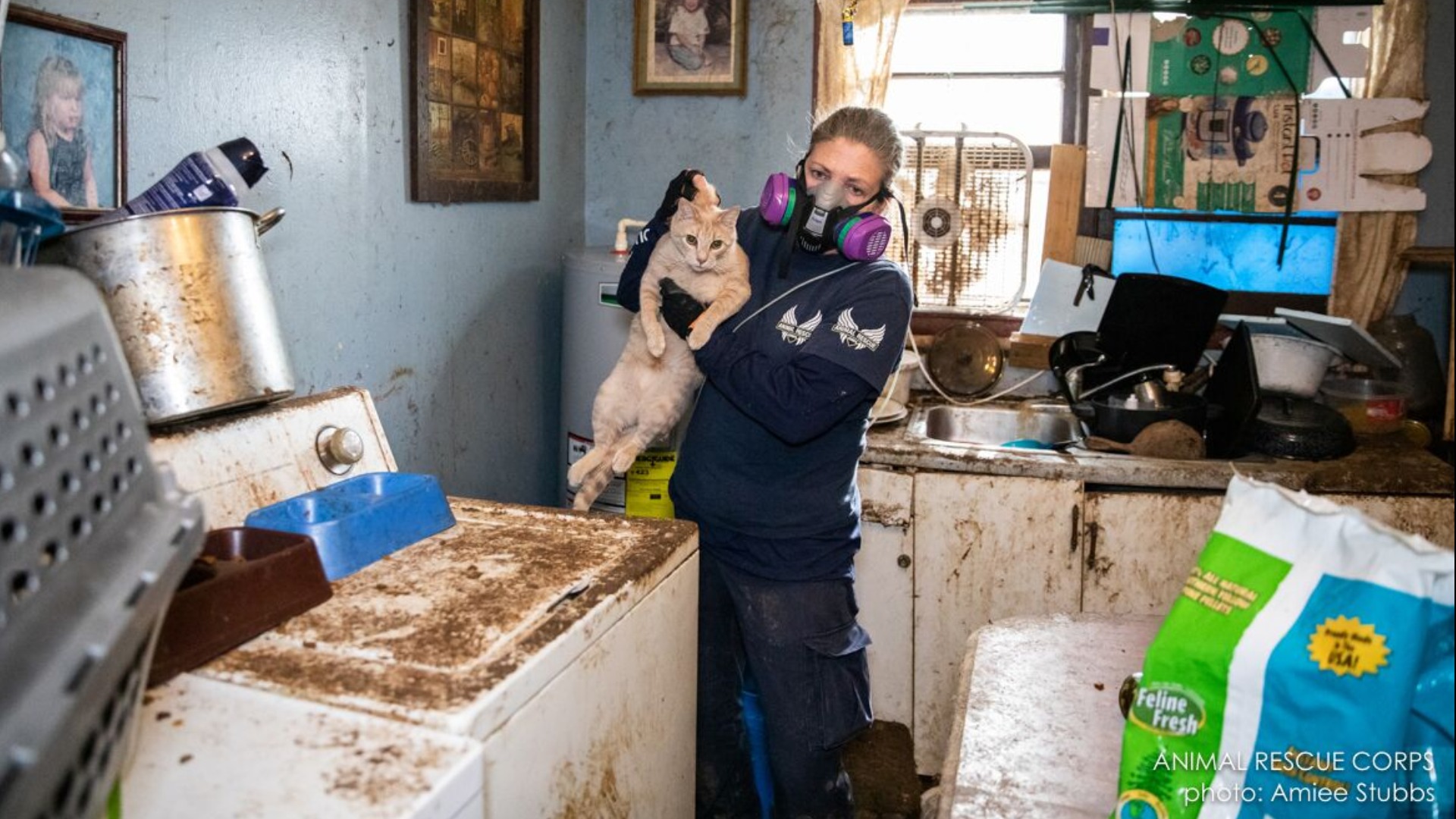Animal Rescue Corps rescues 54 animals from desperate living situation