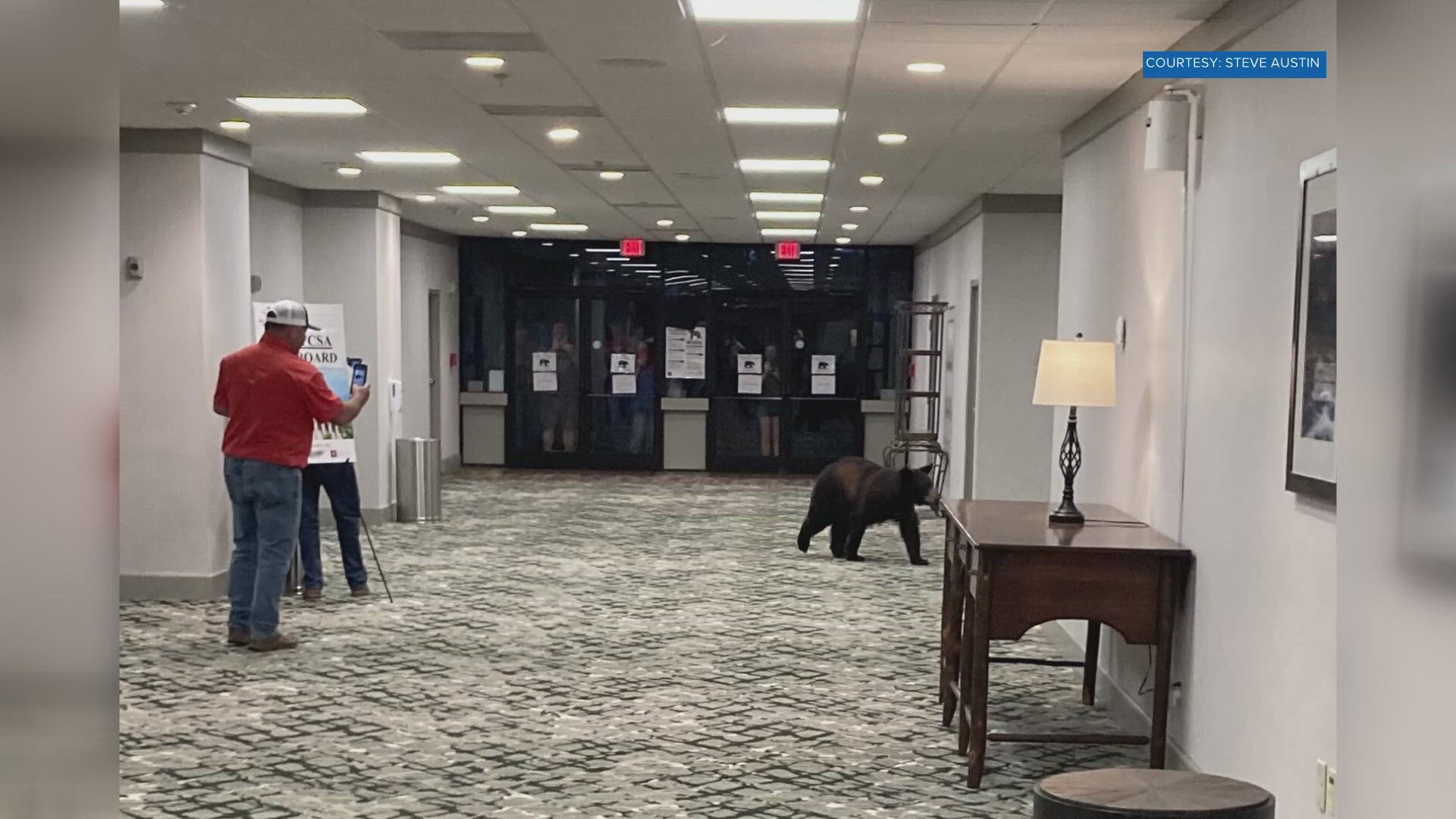 On Monday, a bear entered the Park Vista Hotel in downtown Gatlinburg.
