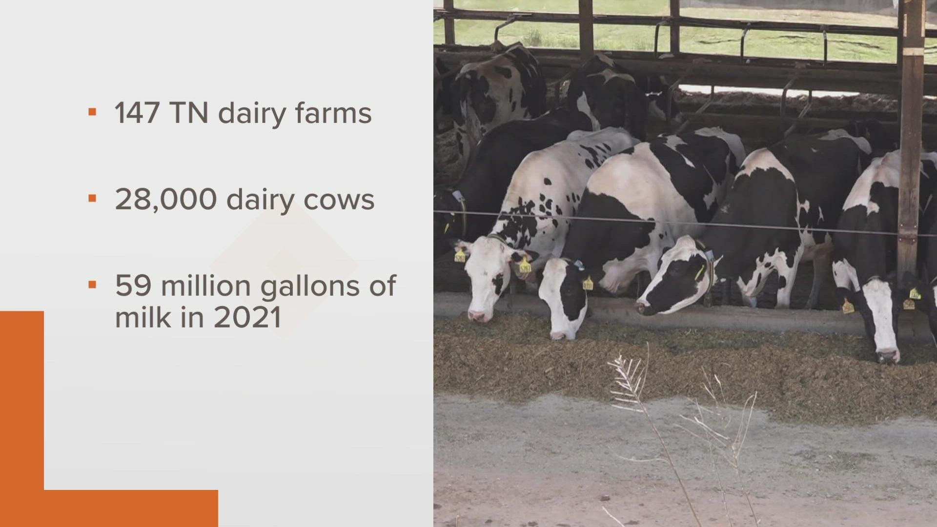 The nonprofit "Dairy Alliance" says Loudon County holds the number one spot.