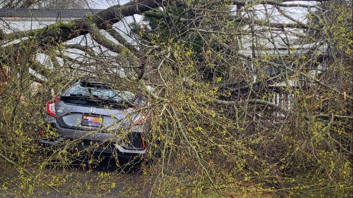 East TN sees damage, power outages after strong storms