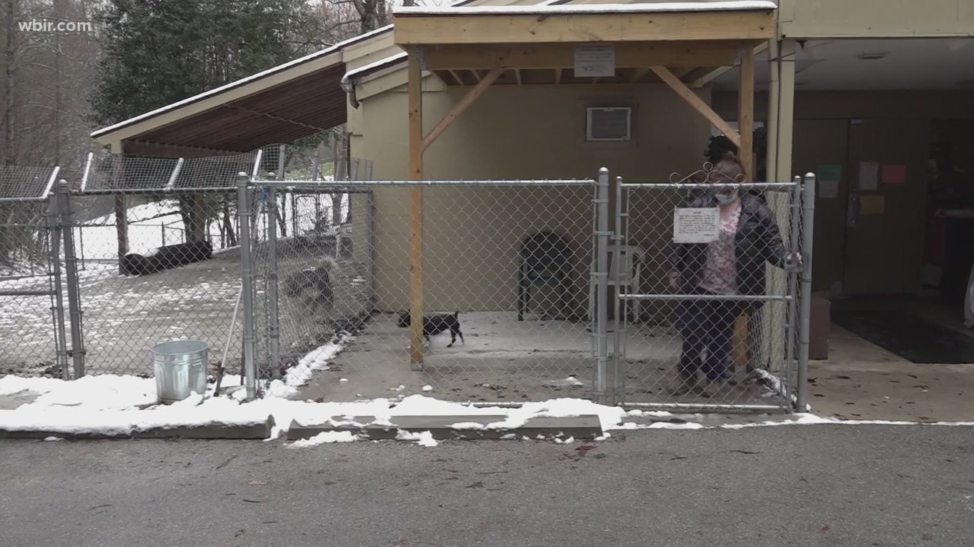 Power is now back on at the Sevier County Humane Society after it first went out on Christmas Eve.