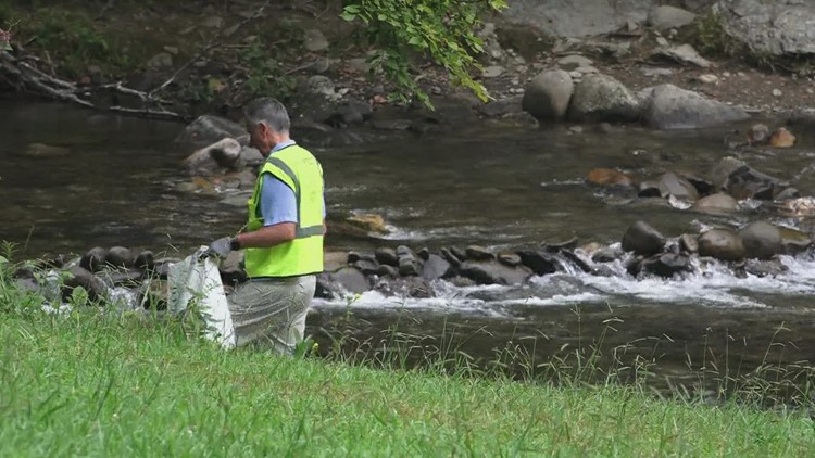 'People use the Smokies as a dump site' | Non-profit looking for volunteers to help keep the Great Smoky Mountains clean