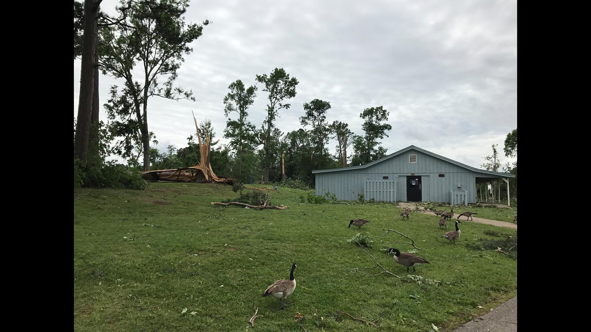 The entire Cove at Concord Park reopens Friday at 4